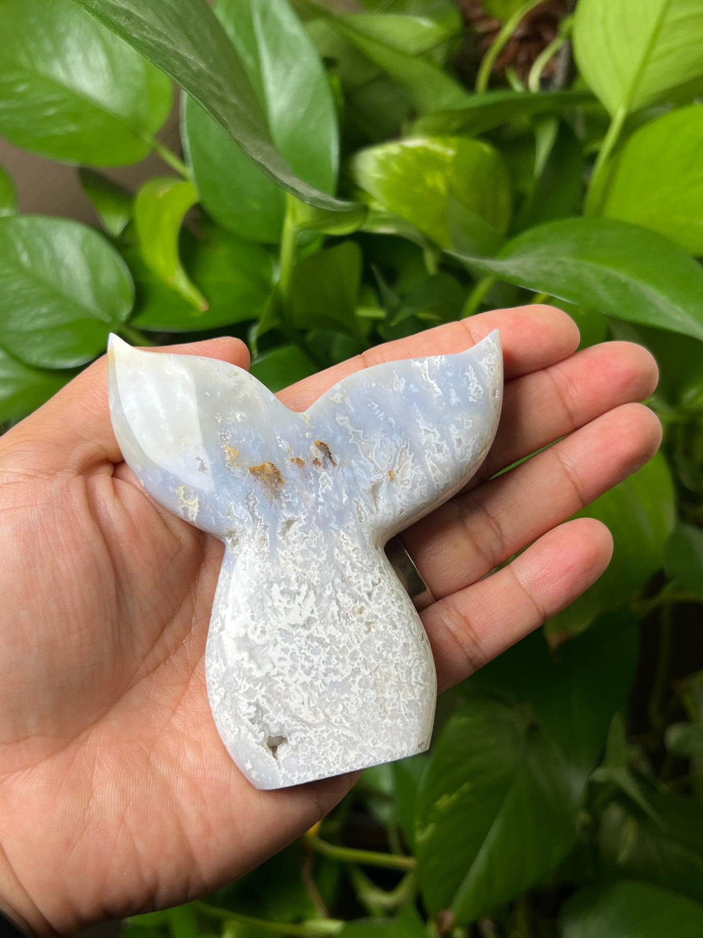 Winter Plume Agate Tail