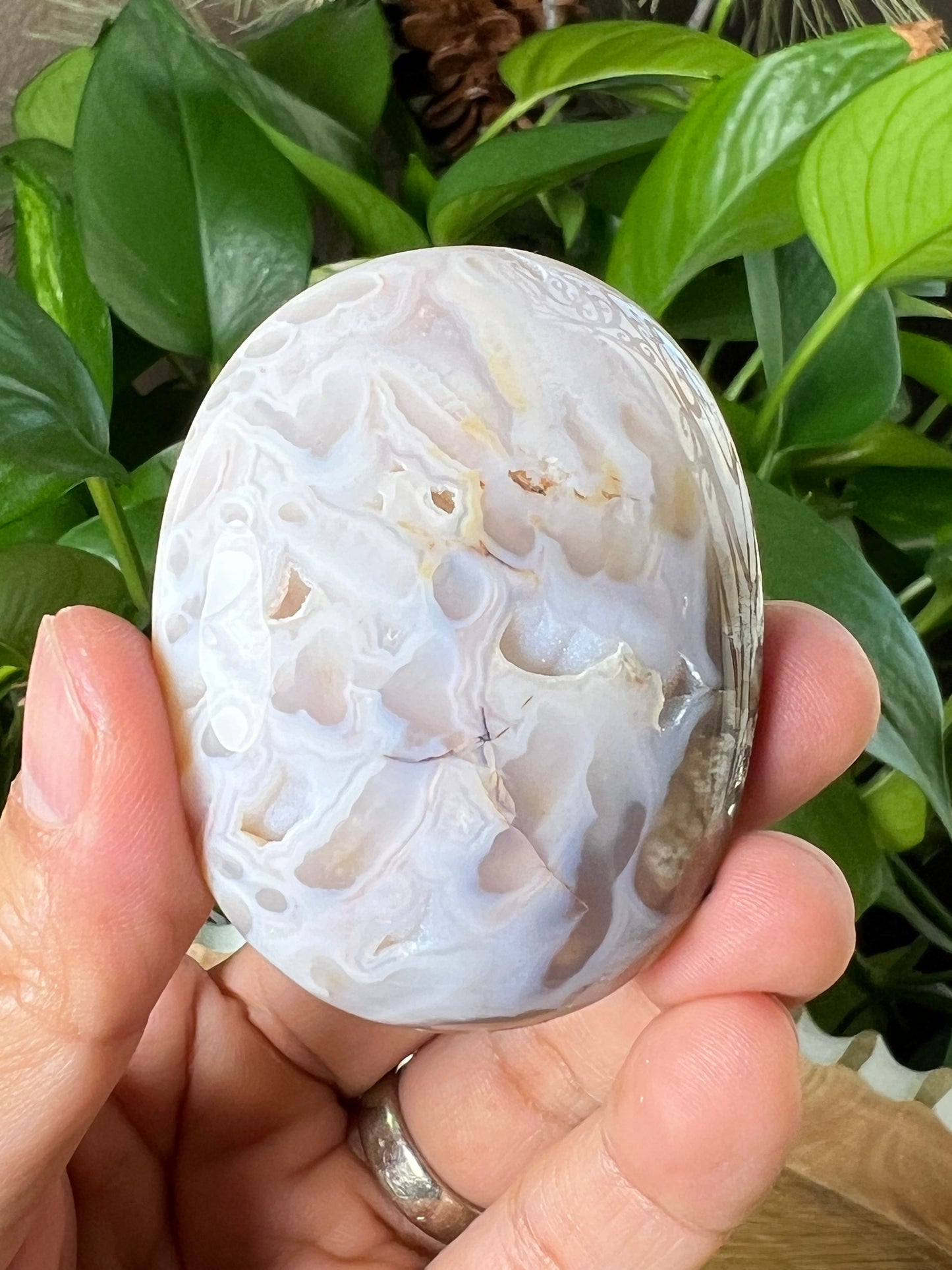 Scenic Moss Agate Palmstone
