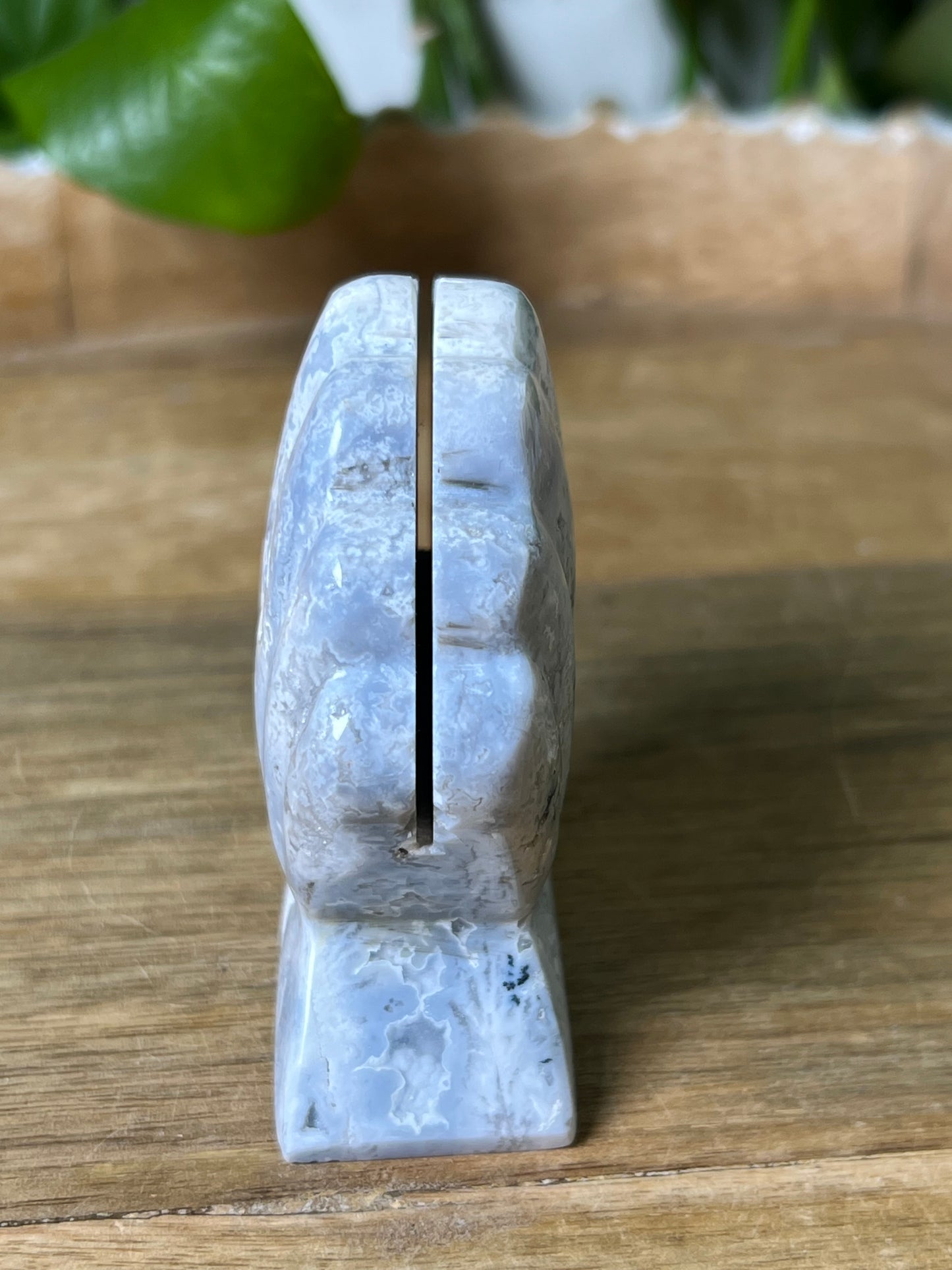 Blue Plume Agate Shell