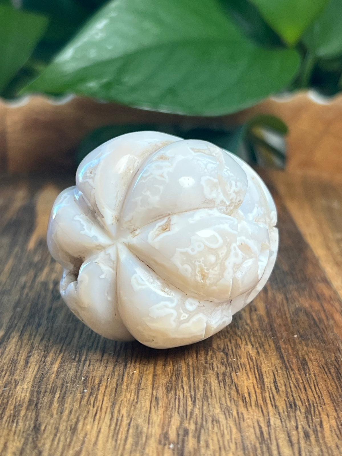 White Plume Agate Pumpkin: E