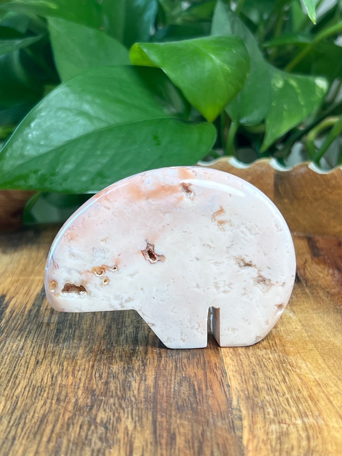 Pink Carnelian Bear: PL