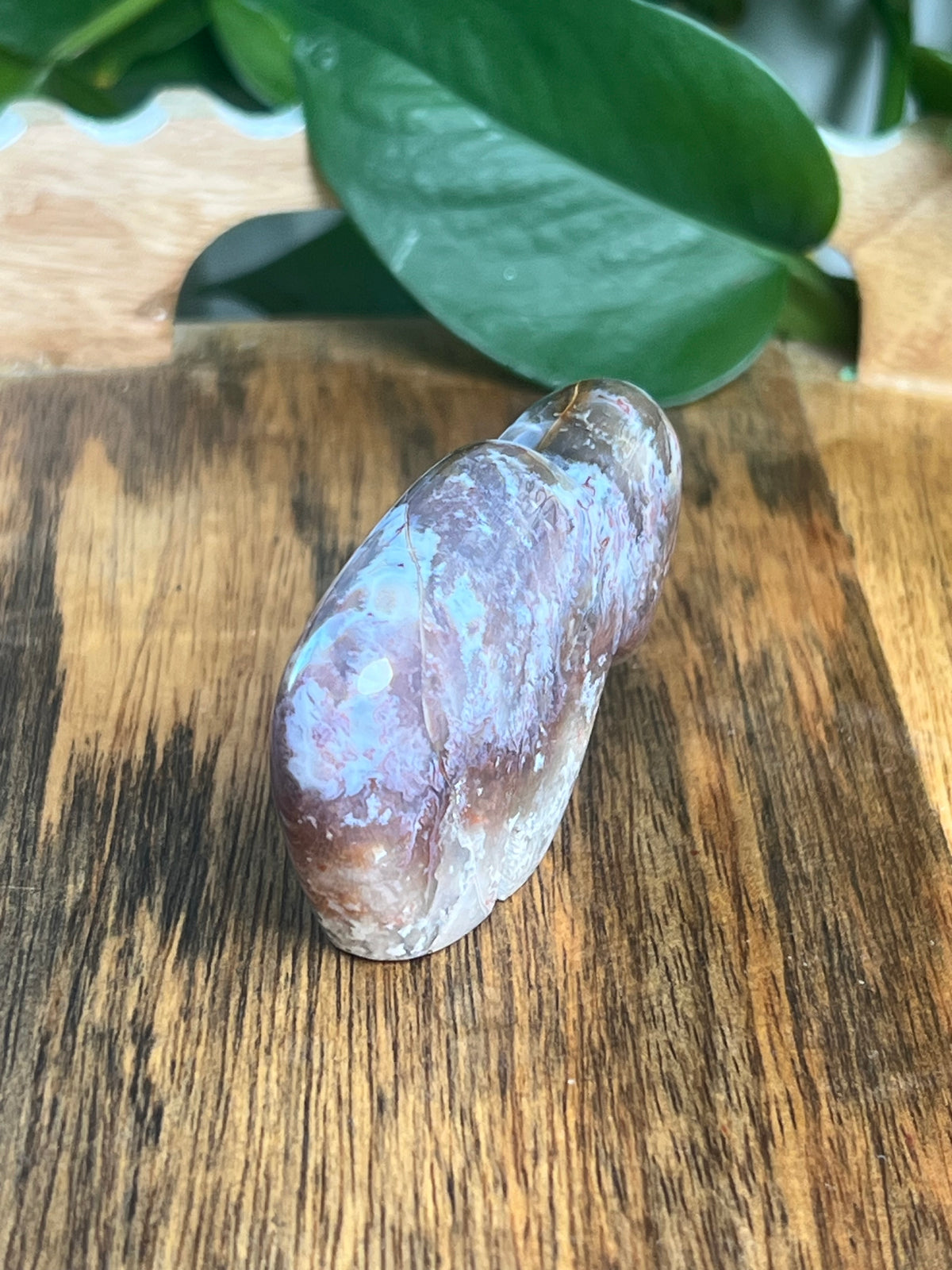 Sumatra Plume Agate Mini Buffalo: DD