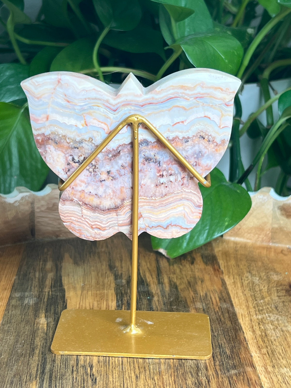 Crazy Lace Agate Butterfly: PD