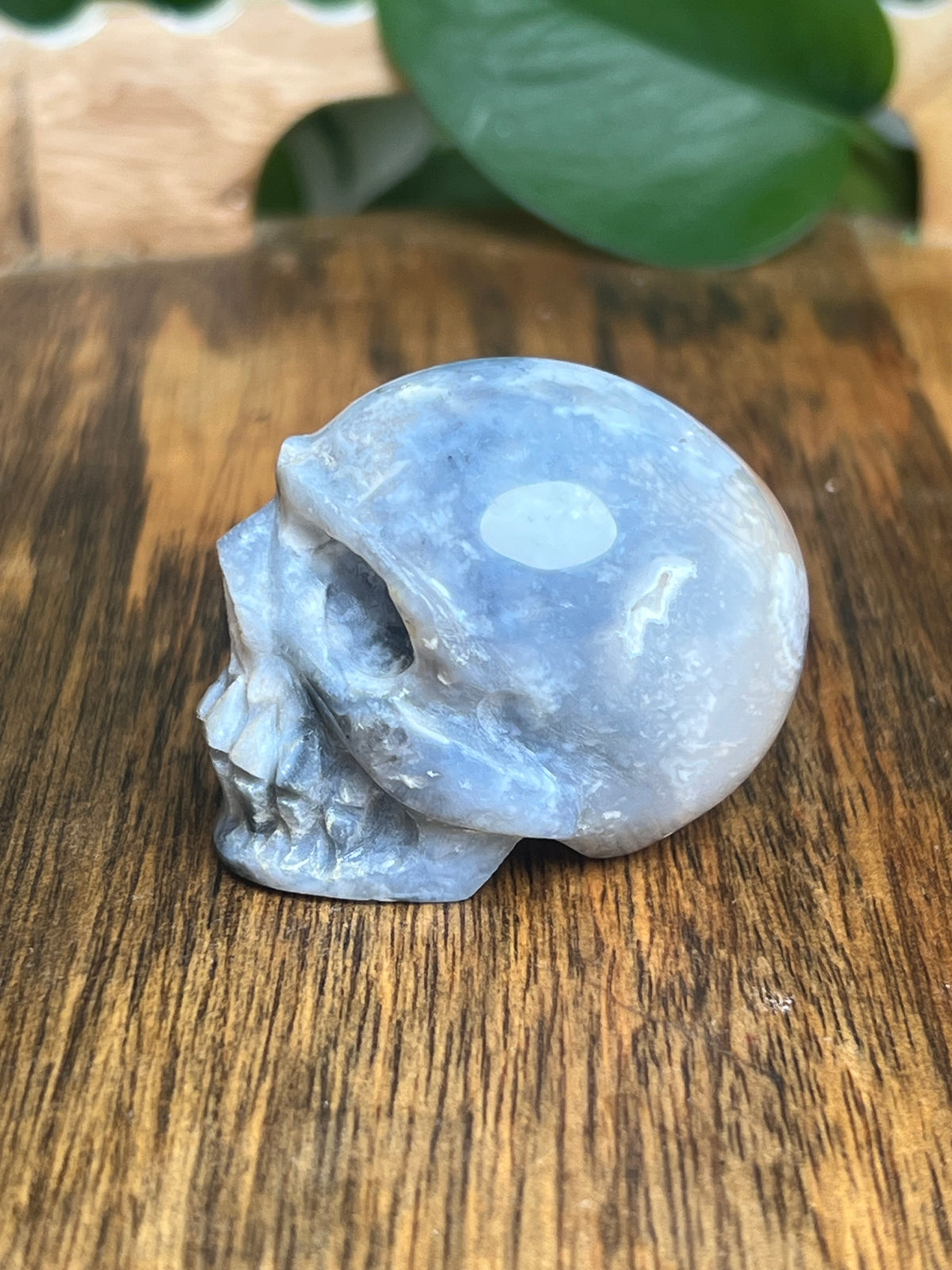 Blue Plume Agate Skull: E