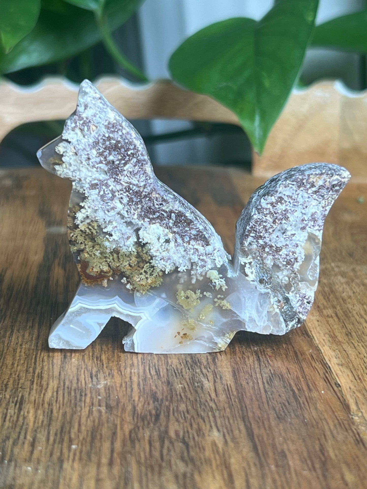 Scenic Moss Agate Fox S