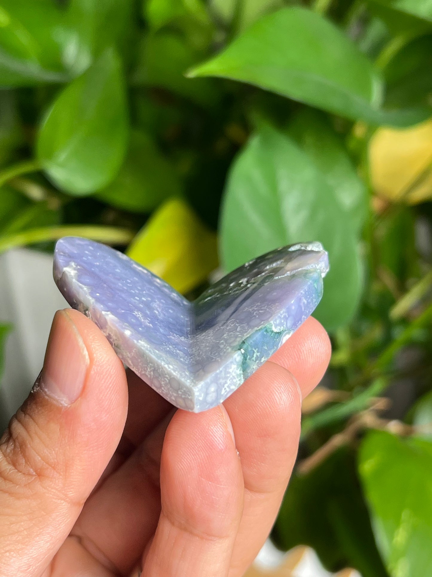 Grape Agate 3D Butterfly BX