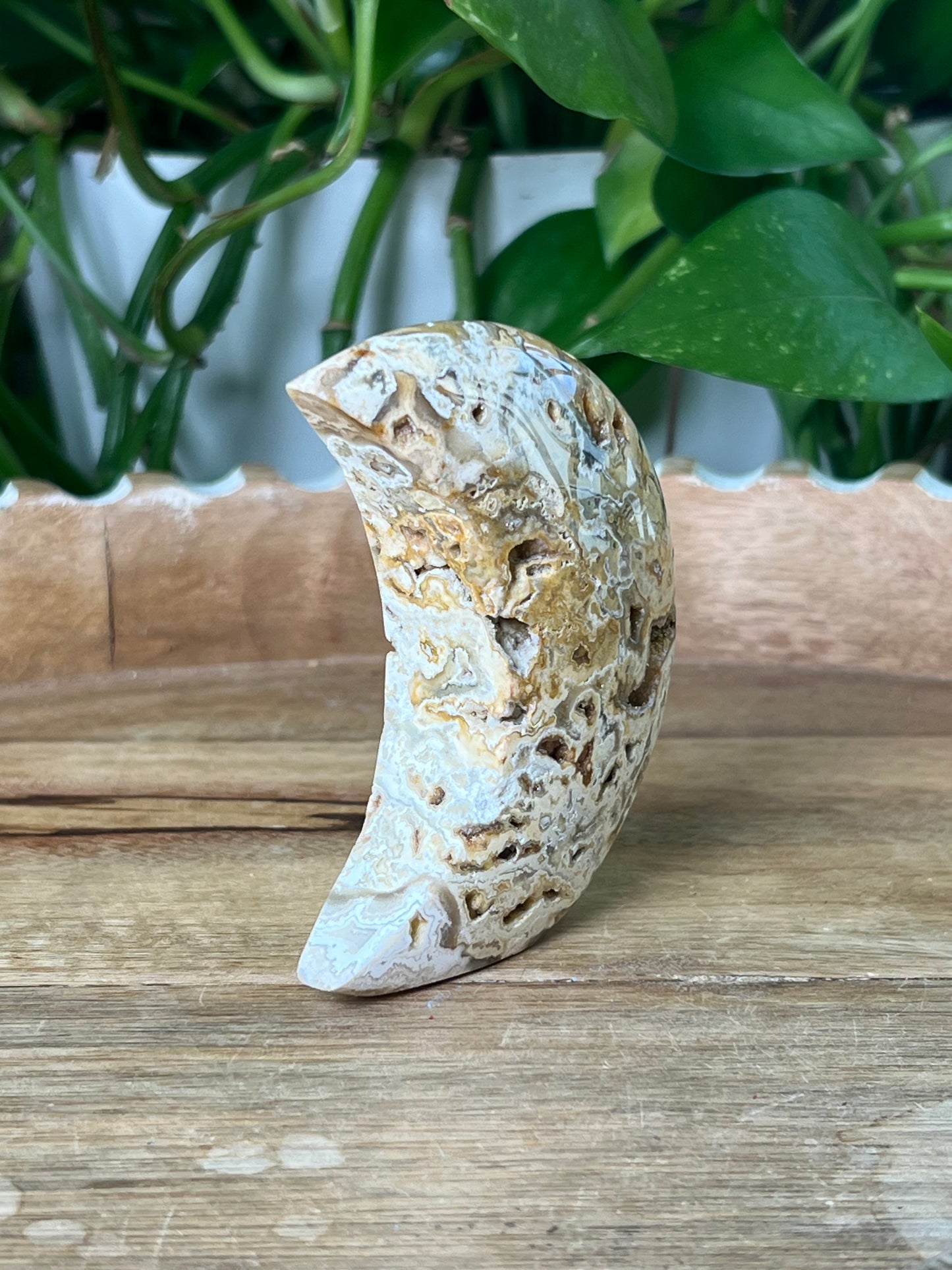 Crazy Lace Agate Moon