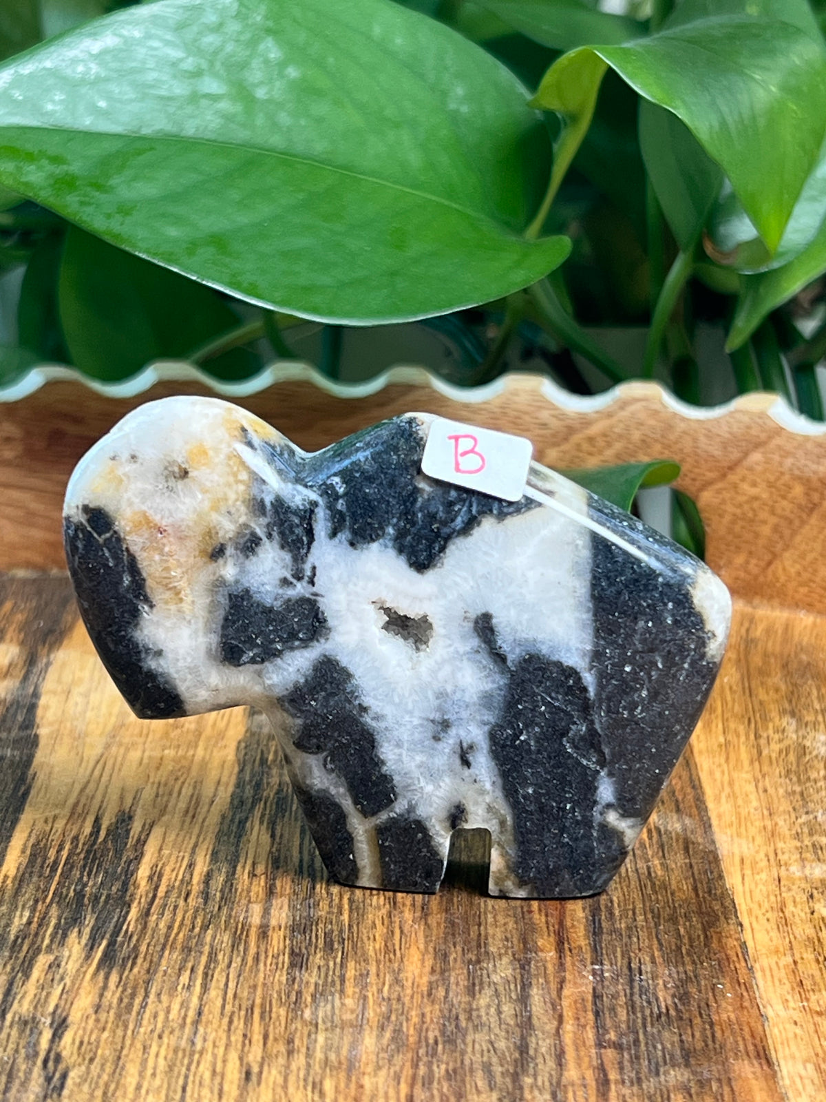 Sphalerite Buffalos