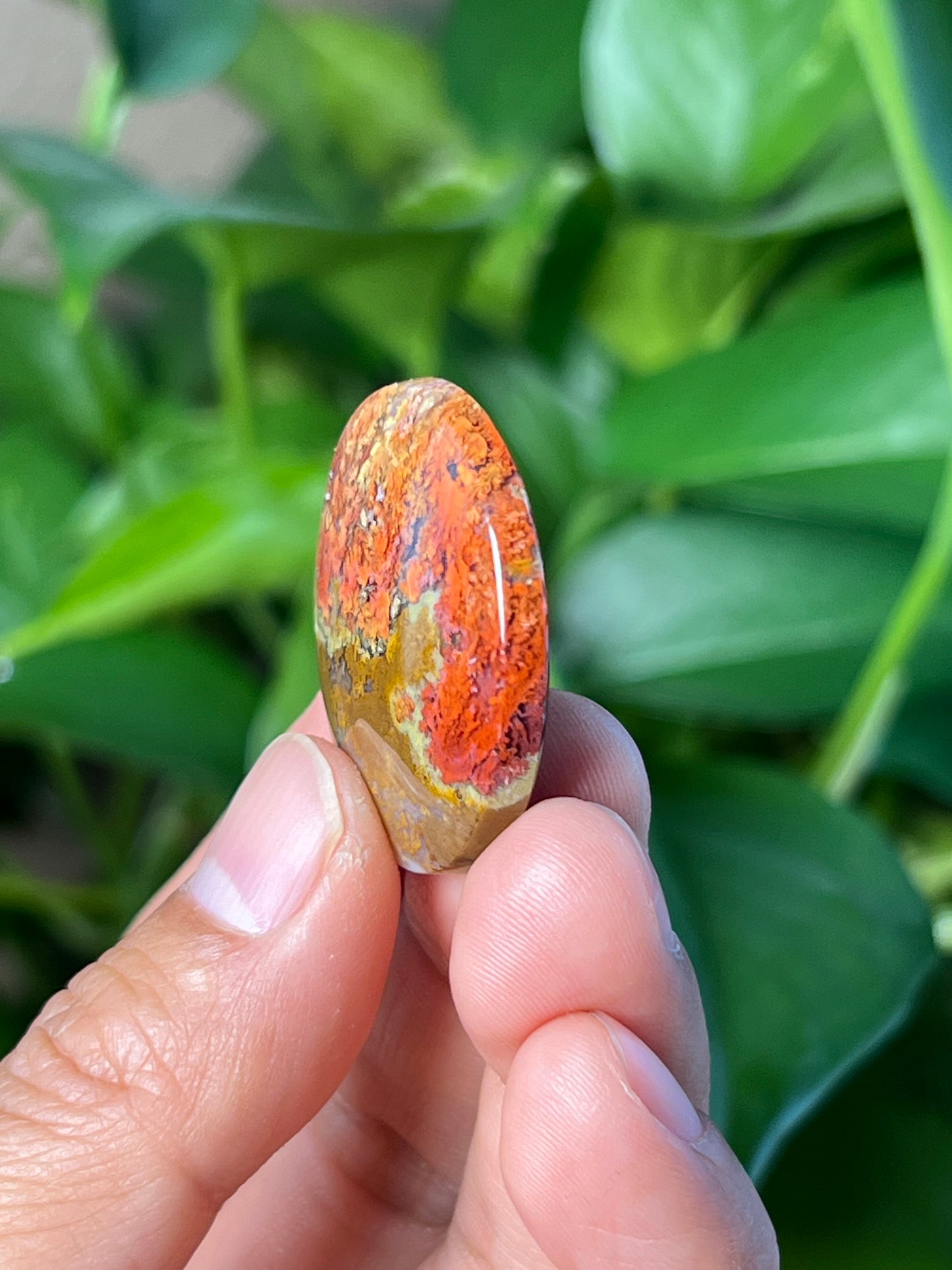 Scenic Moss Agate Cabochon