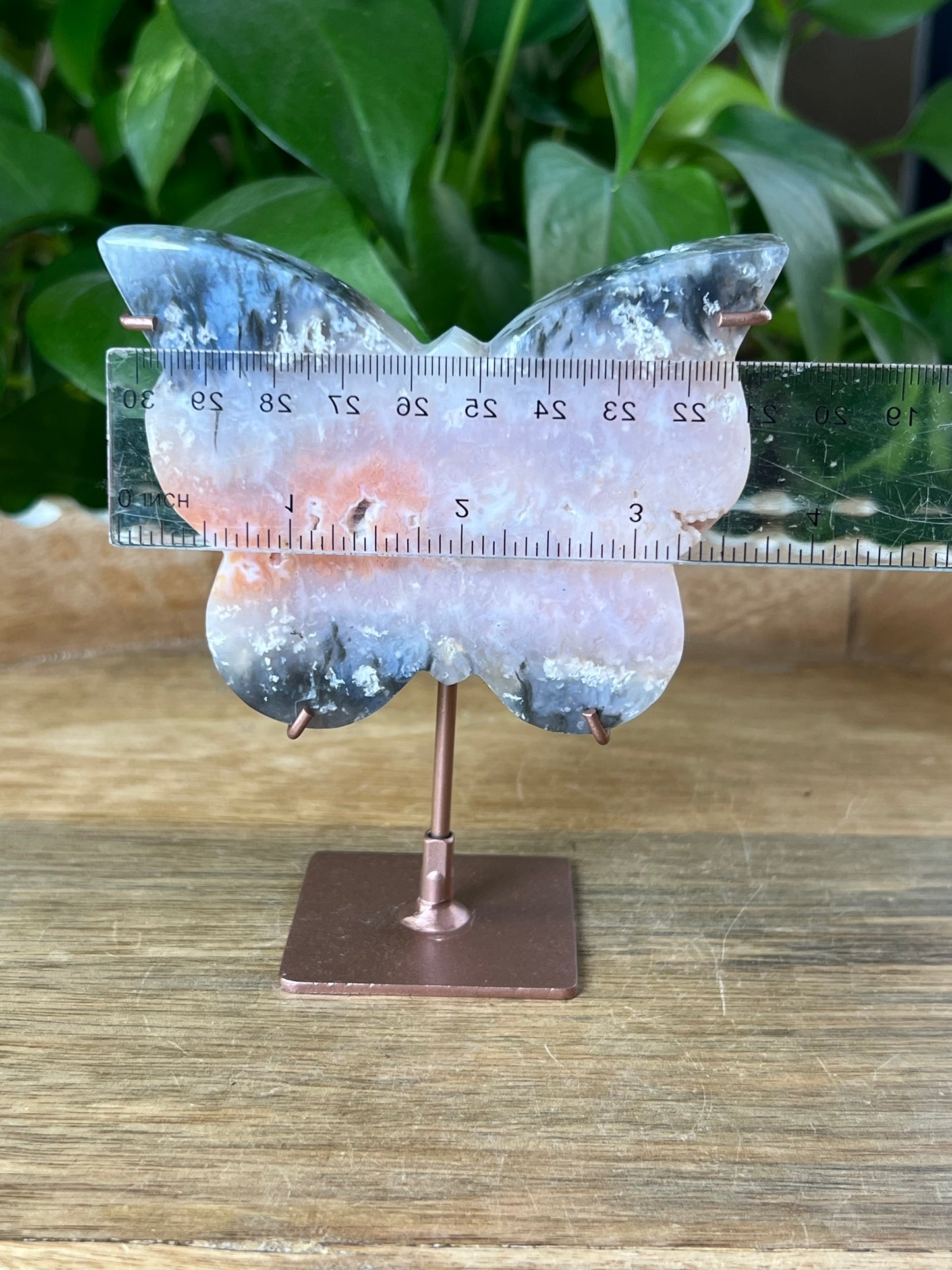 Rainbow Plume Agate Butterfly