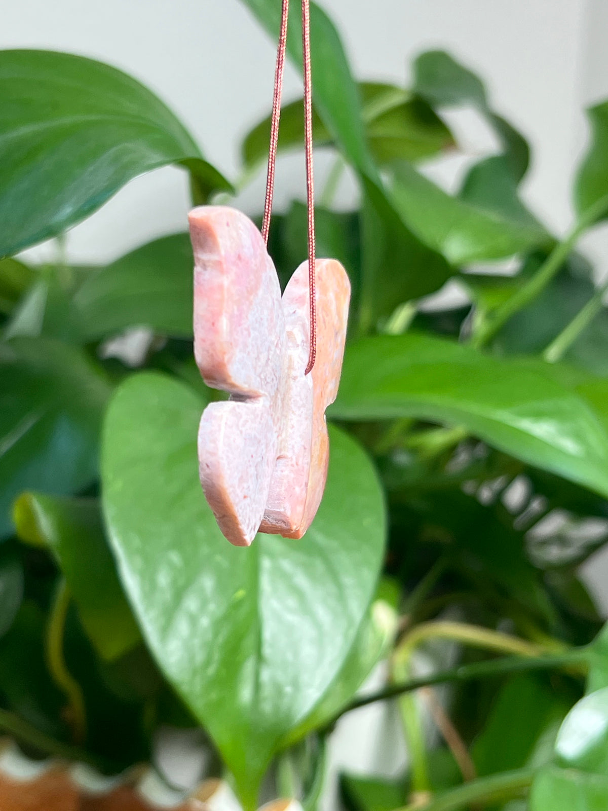 Carnelian Ornament Butterfly: RF