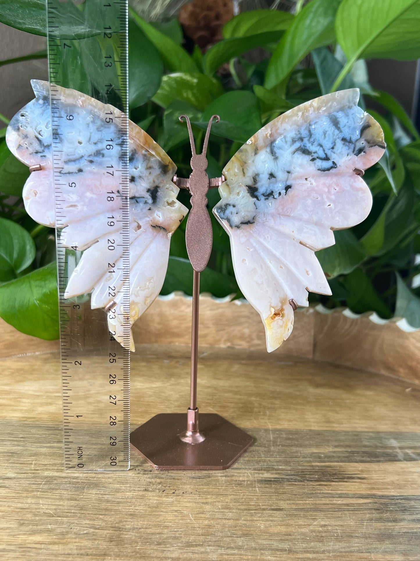 Rainbow Plume Agate Wings