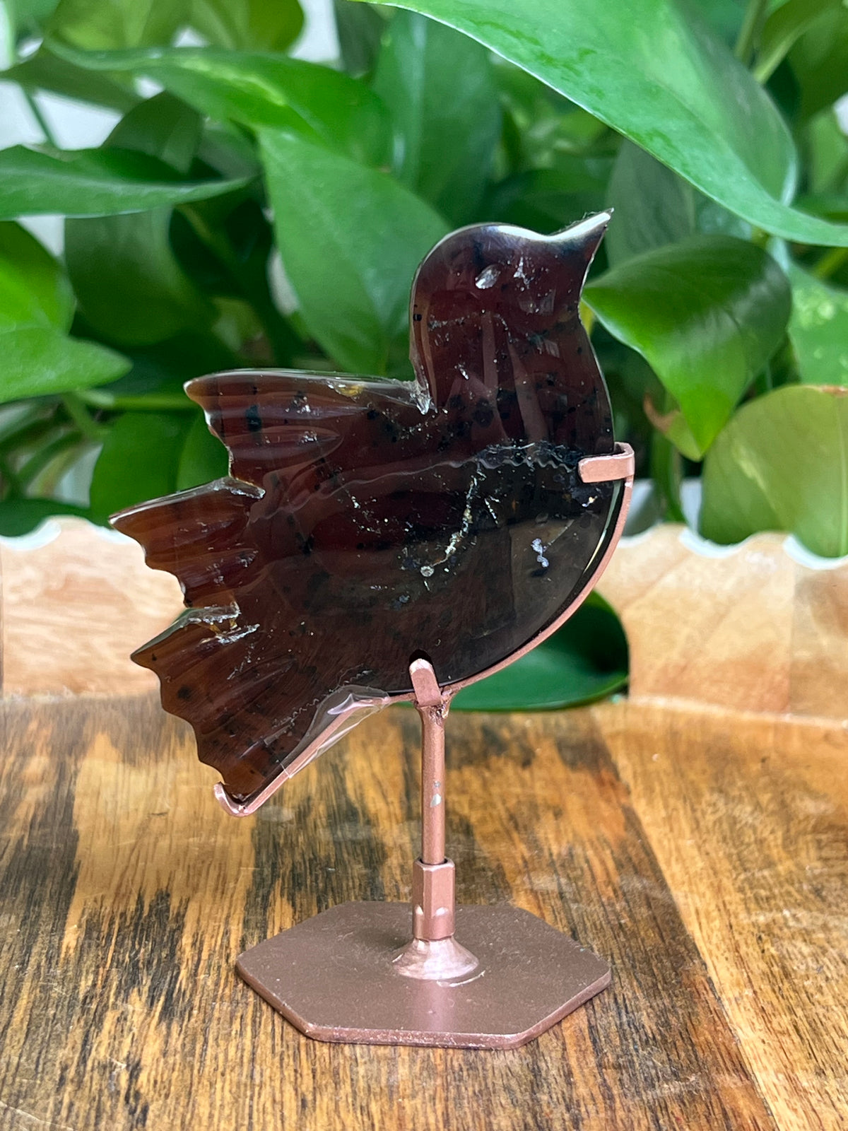 Blue Amber Bird: AK