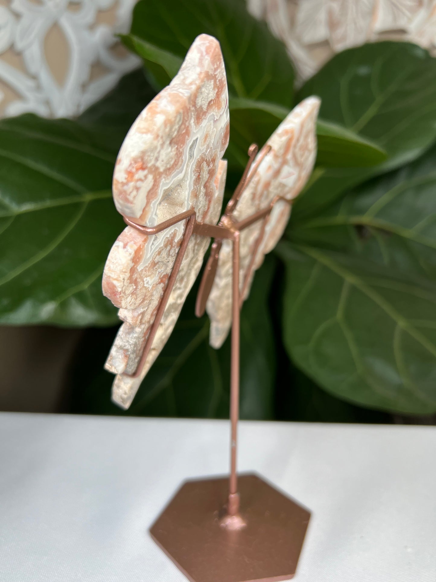 Crazy Lace Agate Wings