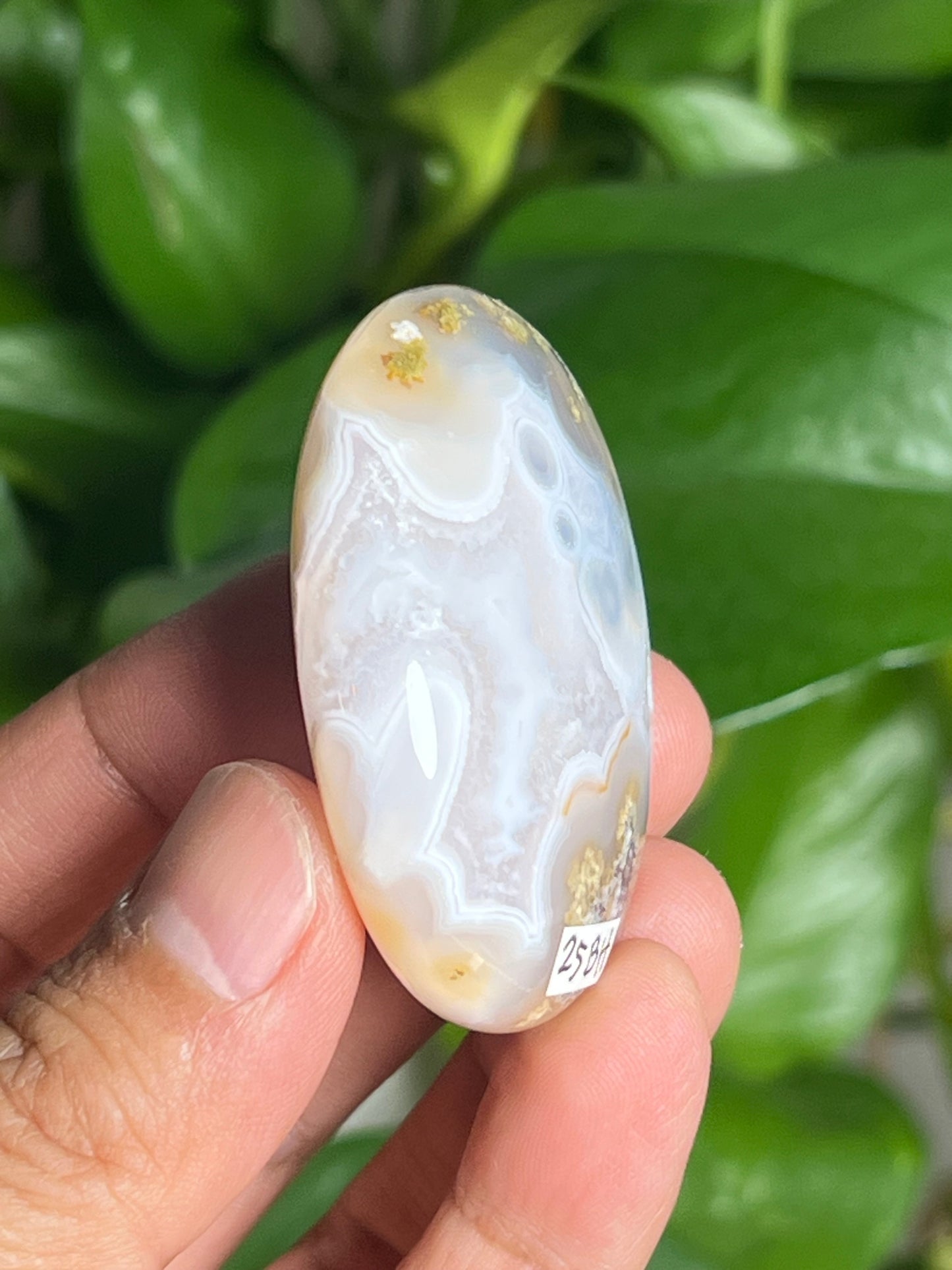 Scenic Moss Agate Palmstone: BH