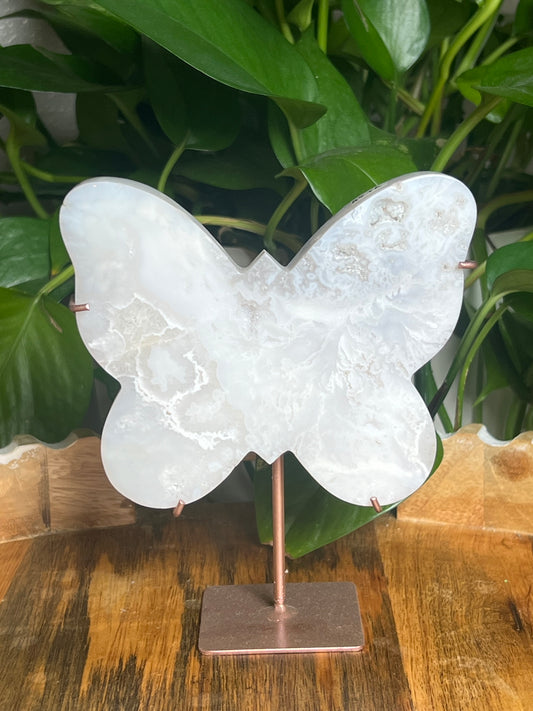 White Plume Agate Butterfly: TA
