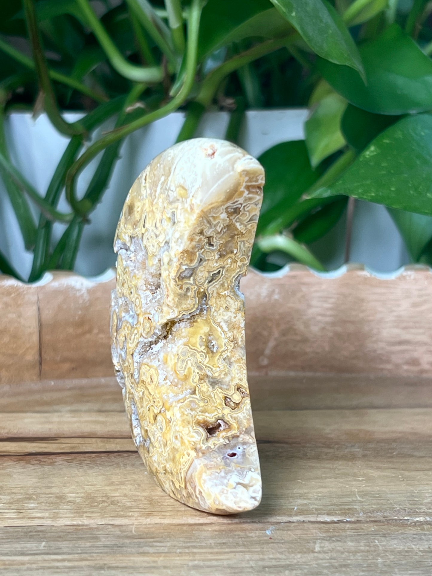 Crazy Lace Agate Moon