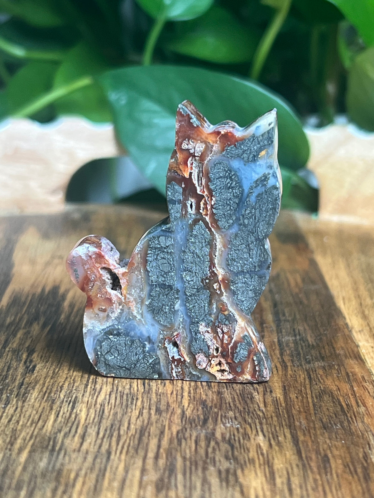 Marcasite Mini Cat: XO