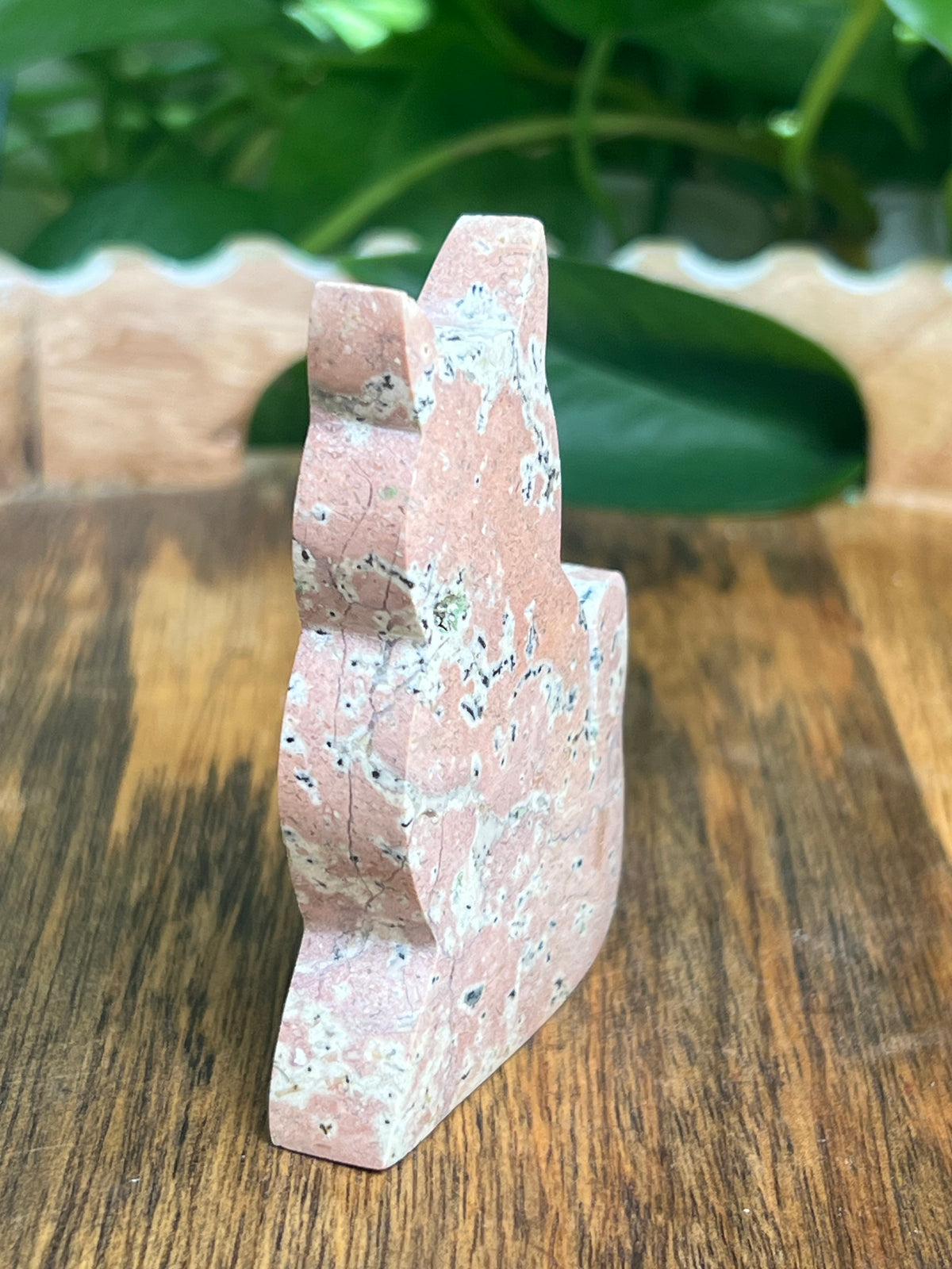 Dendritic Jasper Cat: AK