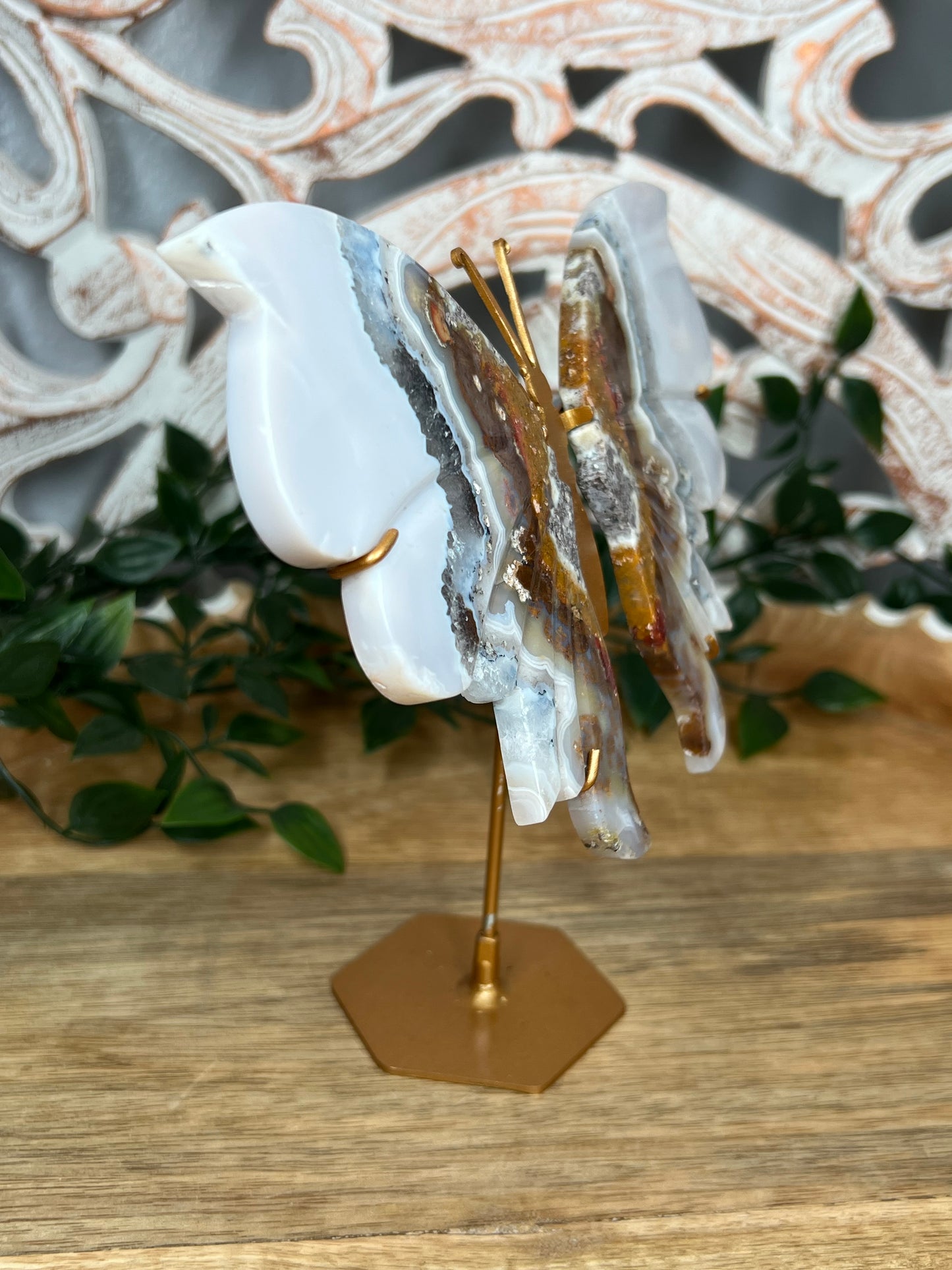 Scenic Moss Agate Wings