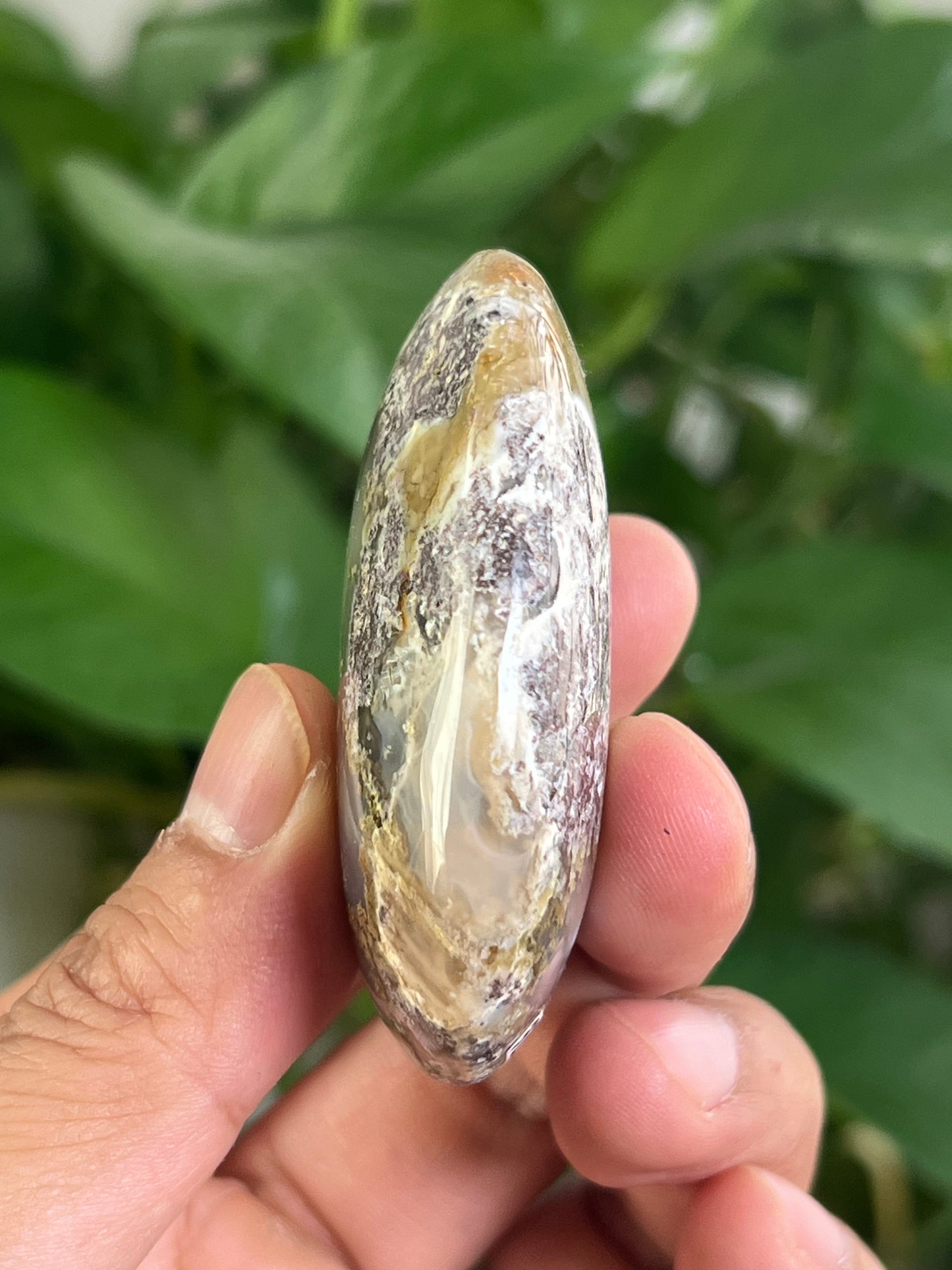 Scenic Moss Agate Palmstone: CH