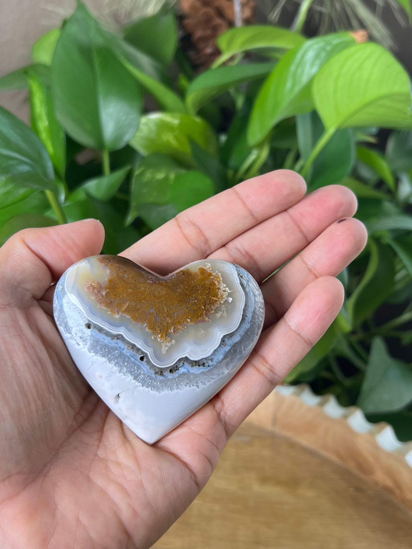 Scenic Moss Agate Palmstone