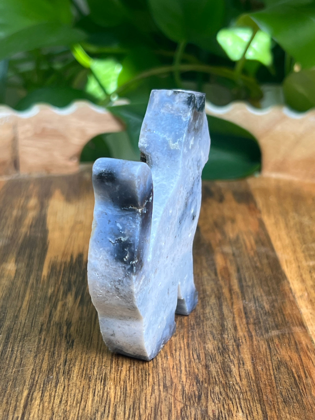 Blue Plume Agate Cat: AD