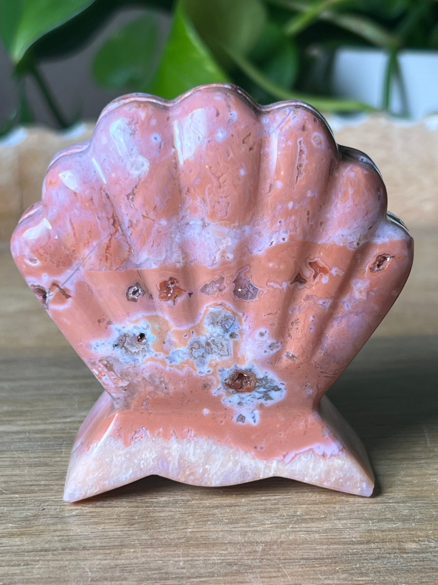 Pink Carnelian Shell