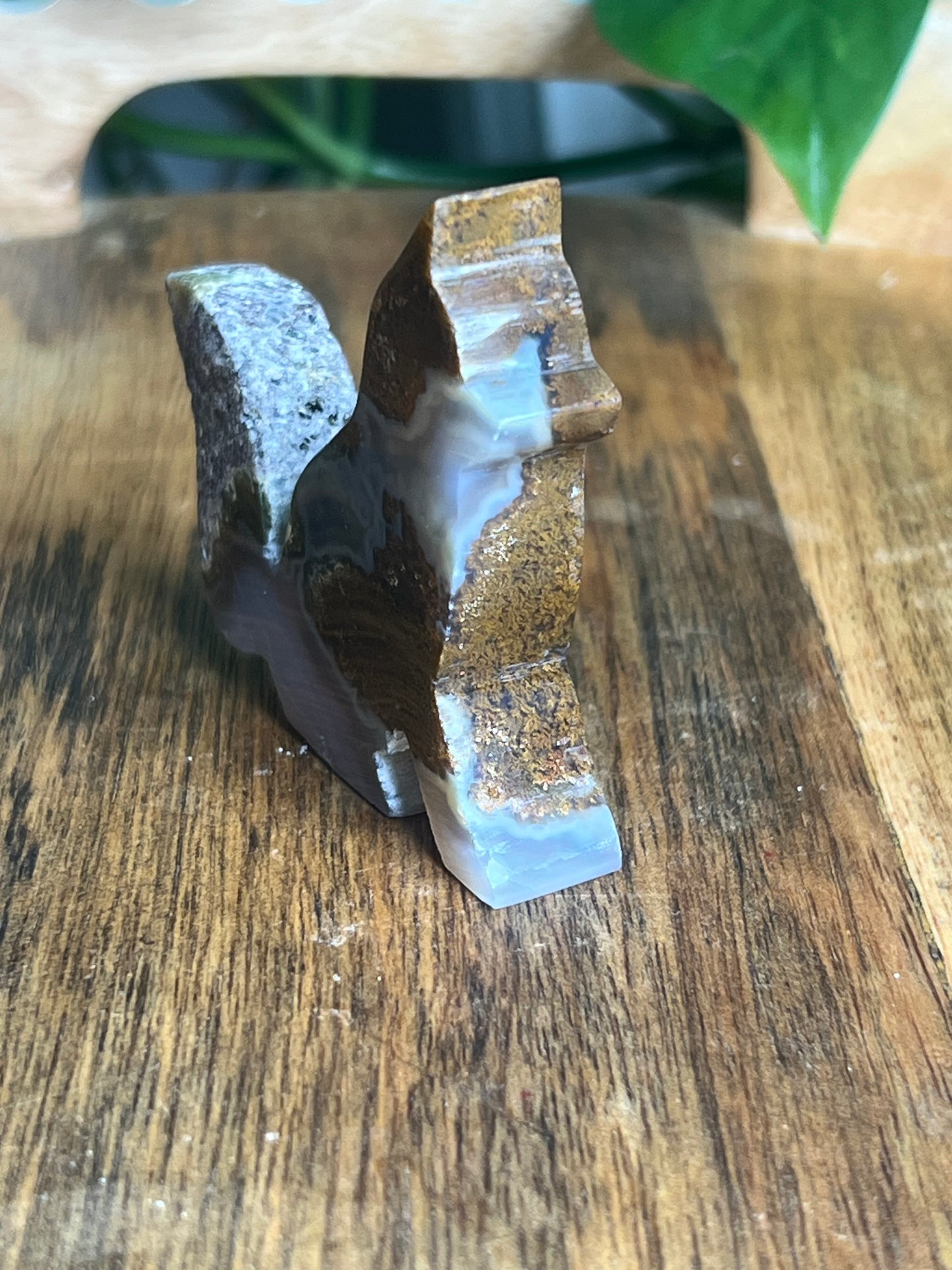 Scenic Moss Agate Fox PC