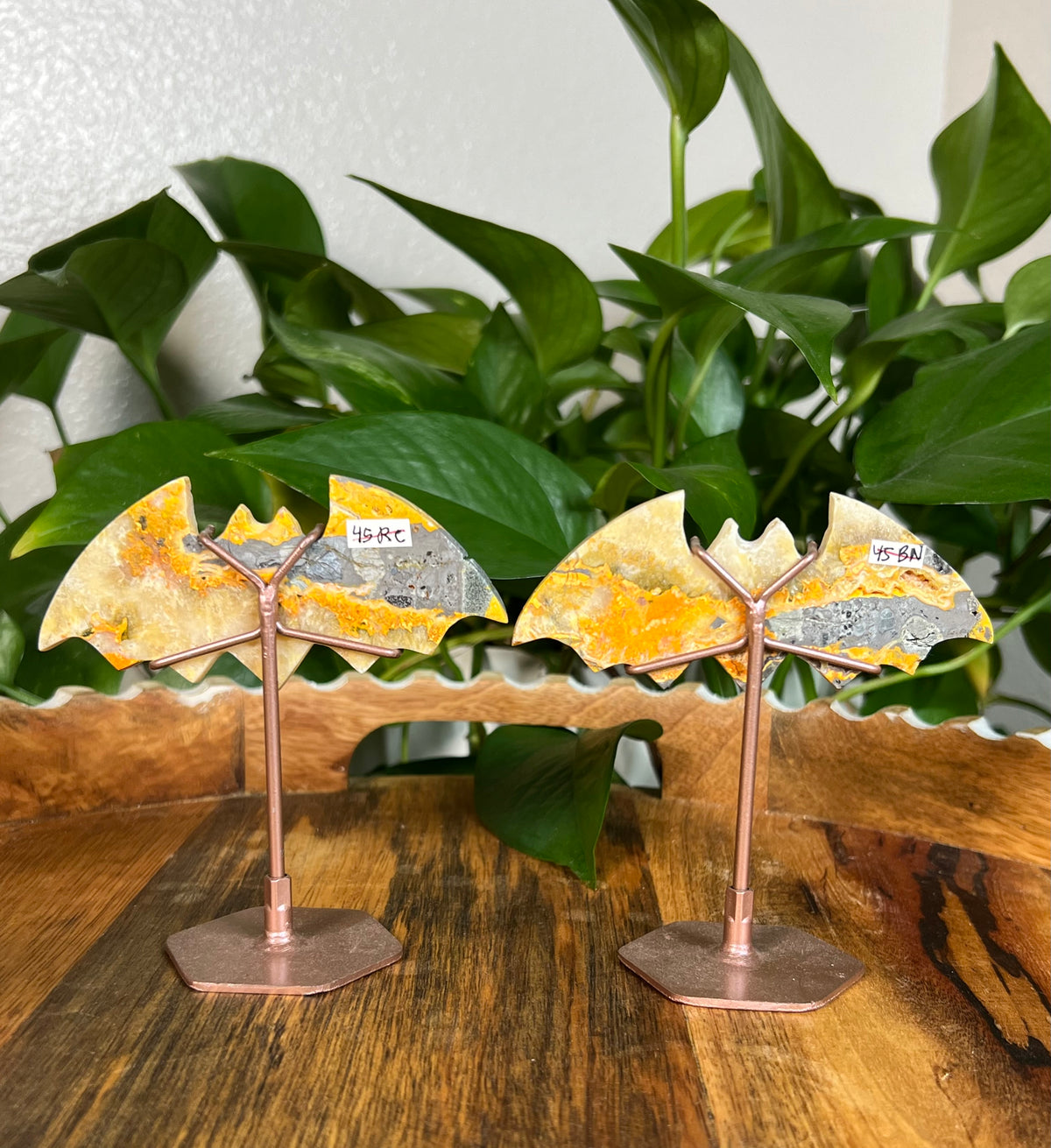 Bumblebee Jasper Bats