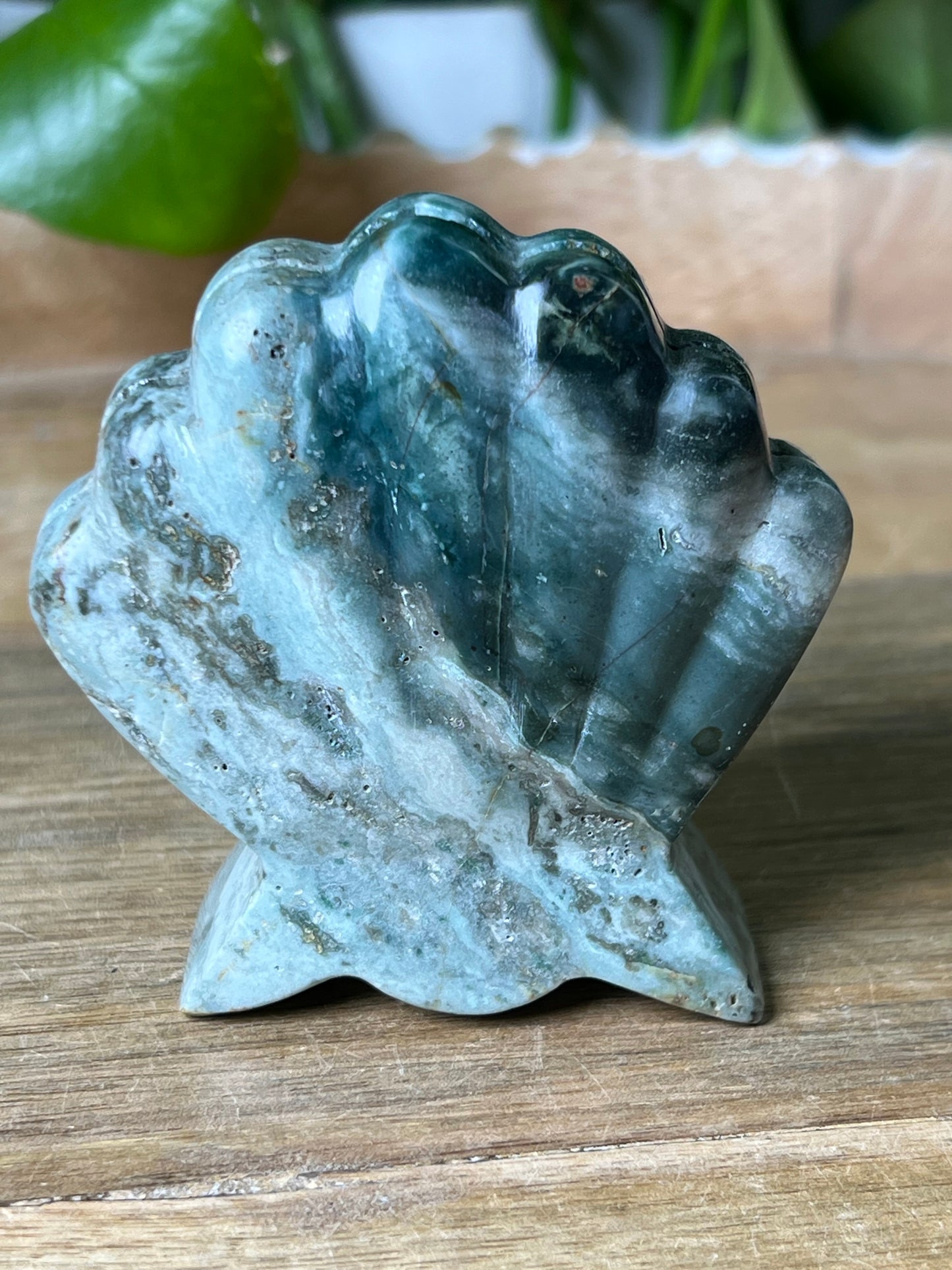 Blue Green Jasper Shell