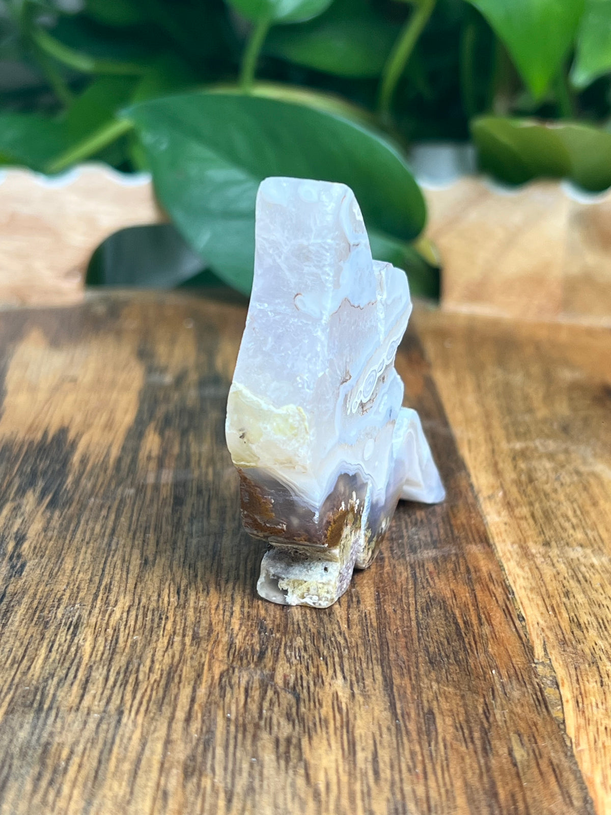 Scenic Moss Agate Pixie Fairy: N