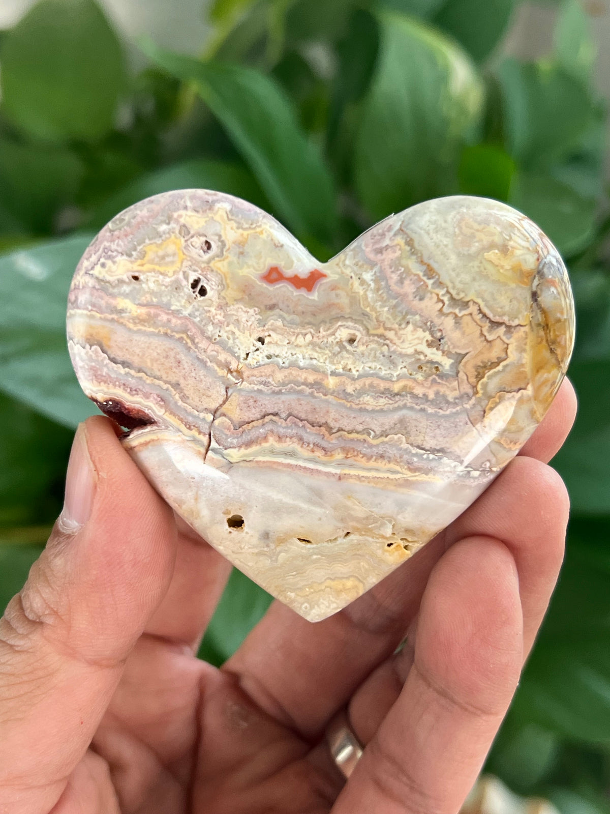 Crazy Lace Agate Small Puffy Moons