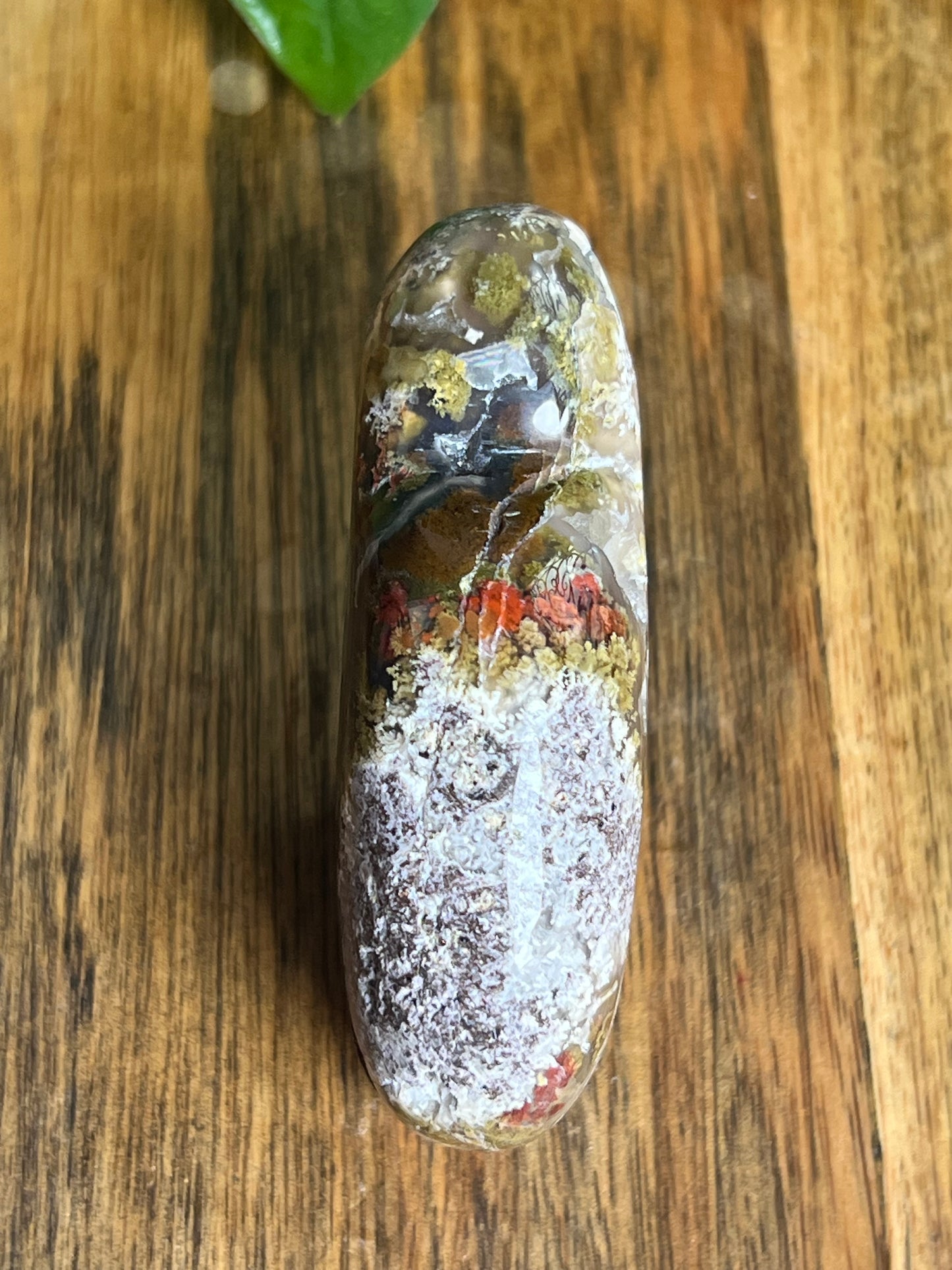 Scenic Moss Agate Buffalo NA