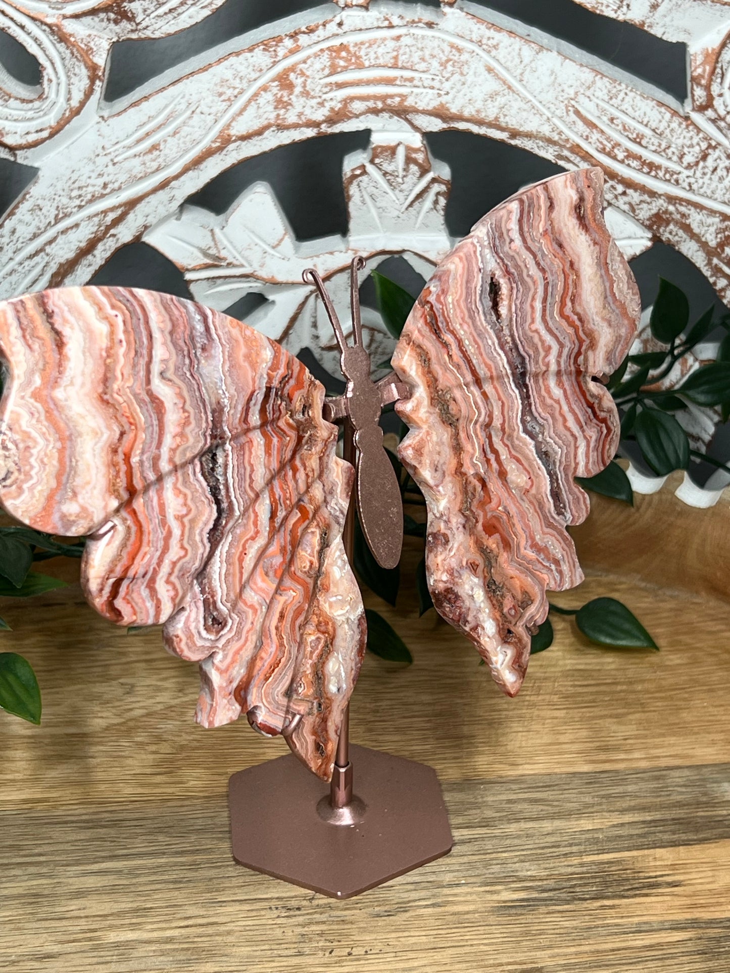 Pink Crazy Lace Agate Wings