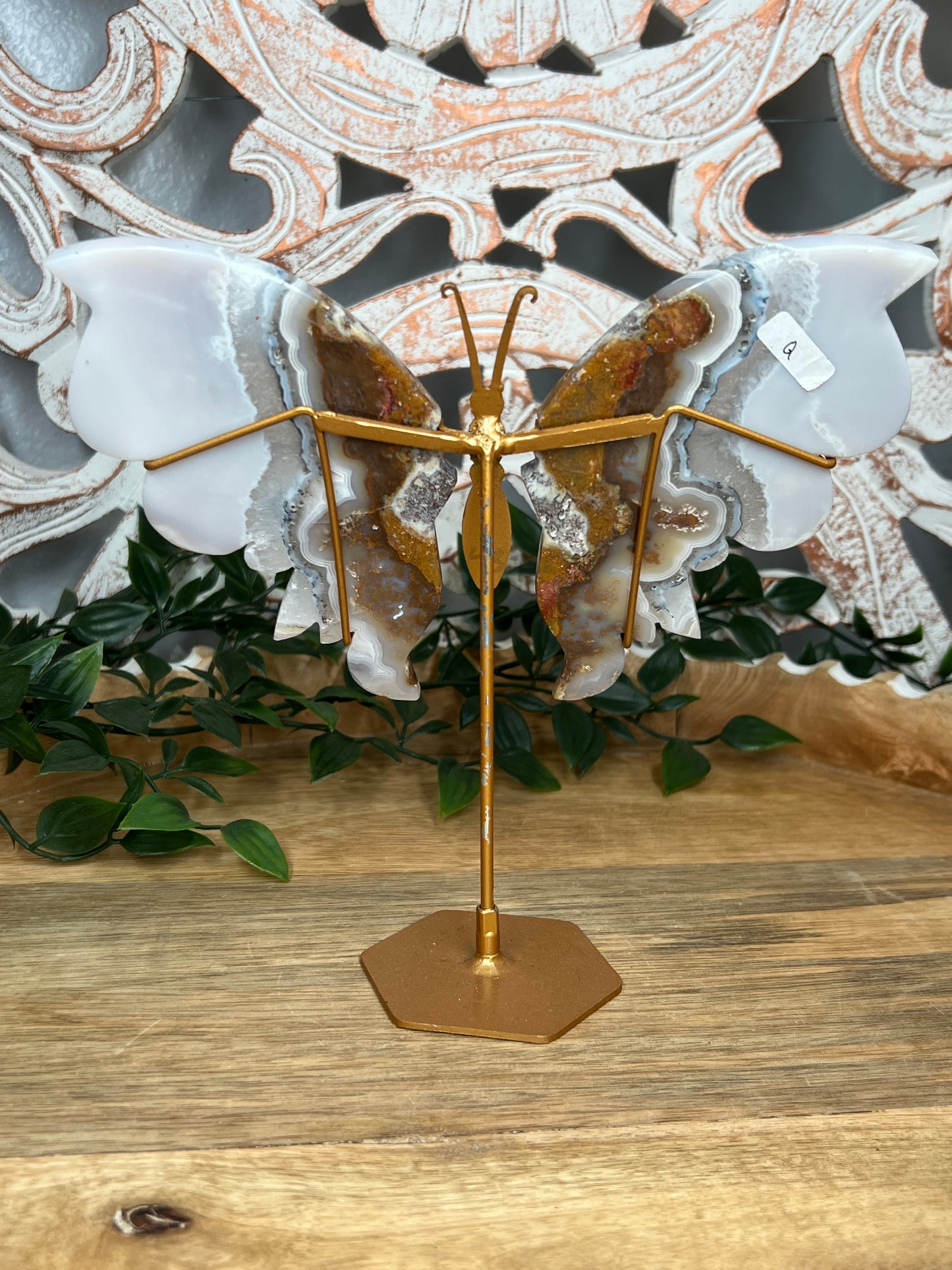 Scenic Moss Agate Wings