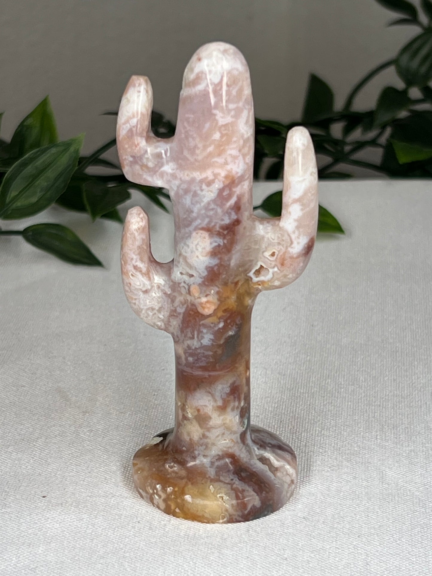 Rainbow Plume Agate Cactus