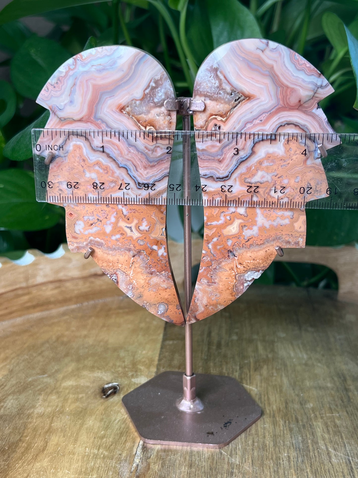 Crazy Lace Agate Wings