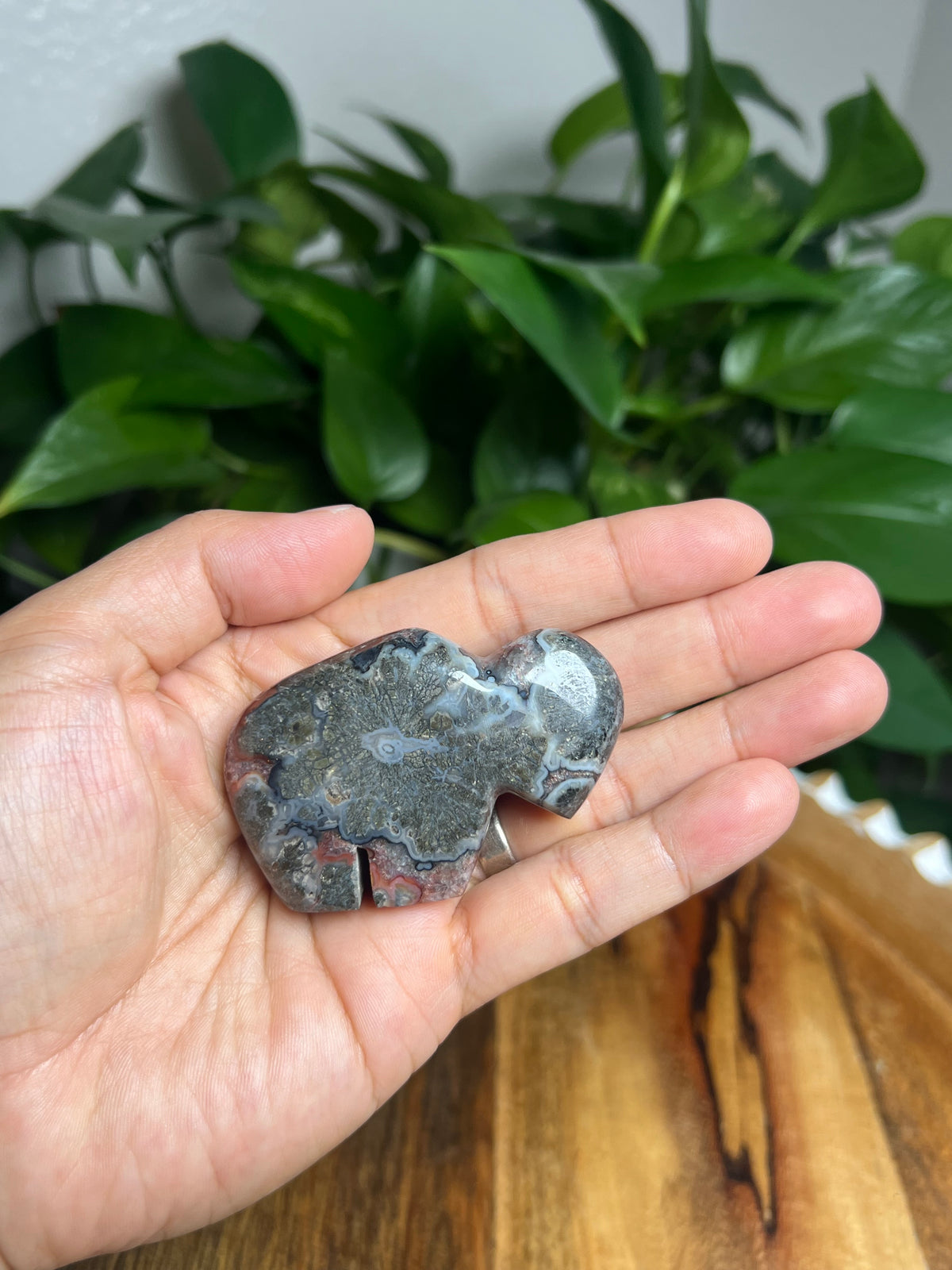 Marcasite Mini Buffalo: ML