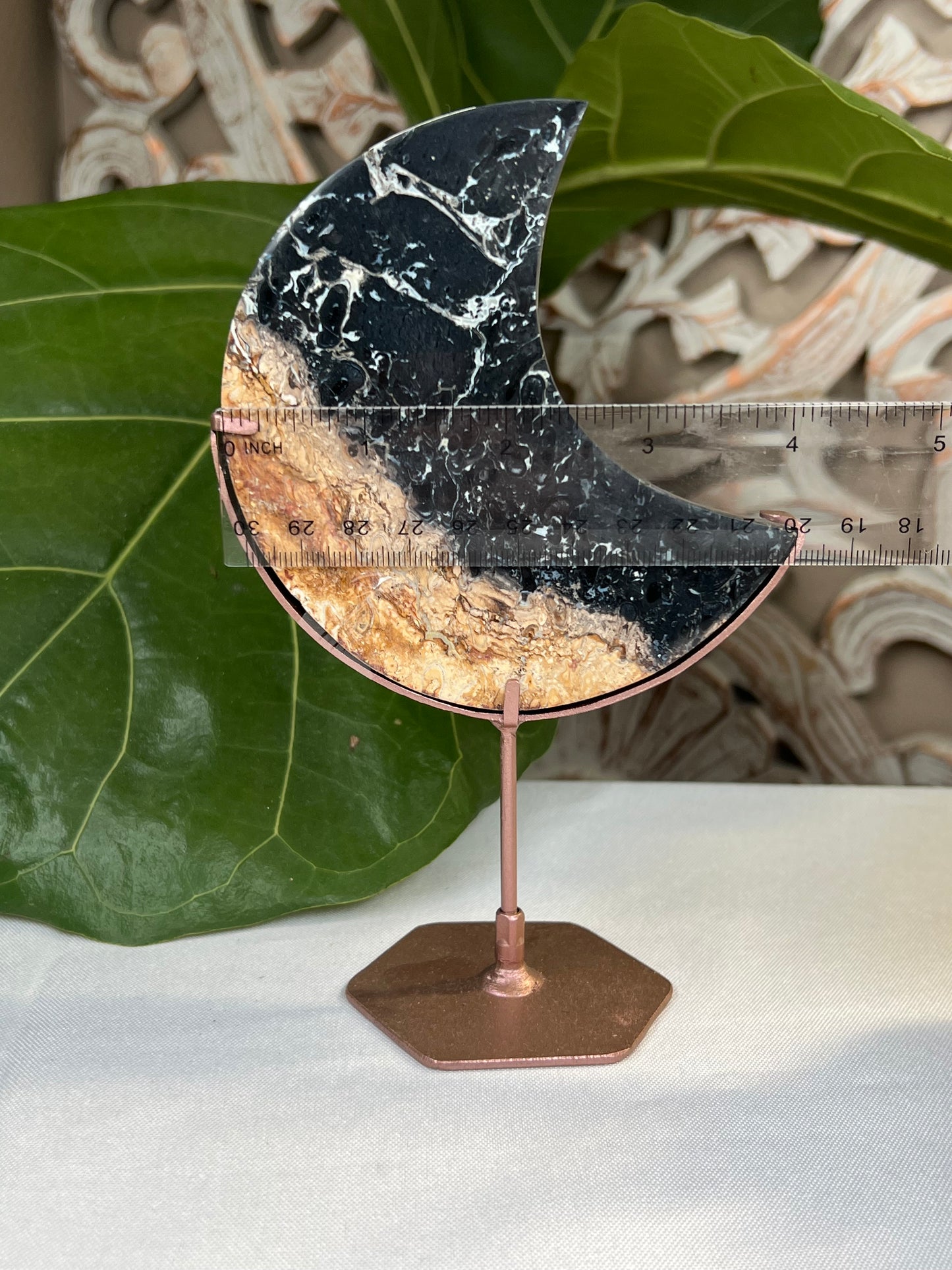 Palm Root Moon