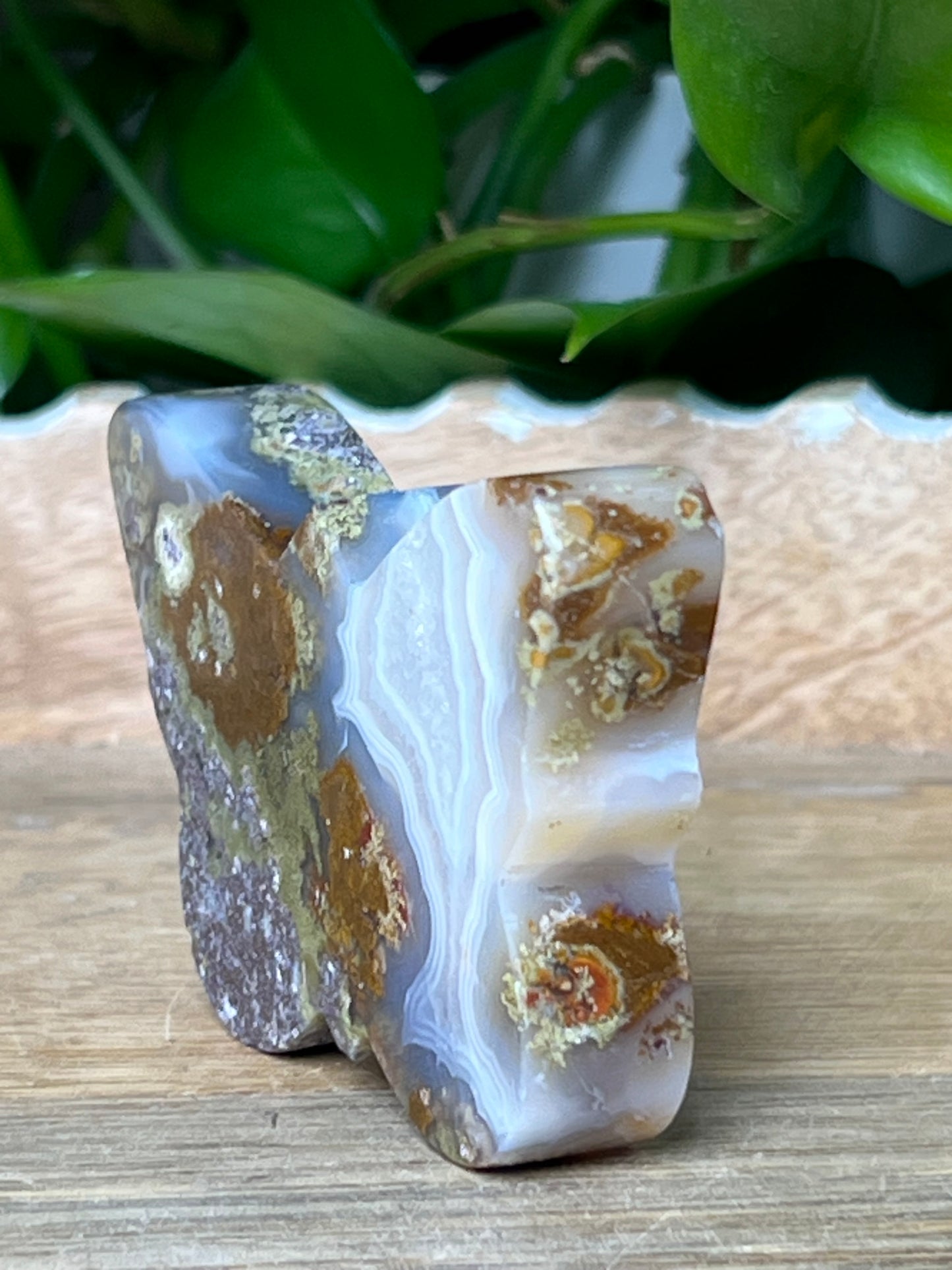 Scenic Moss Agate Butterfly