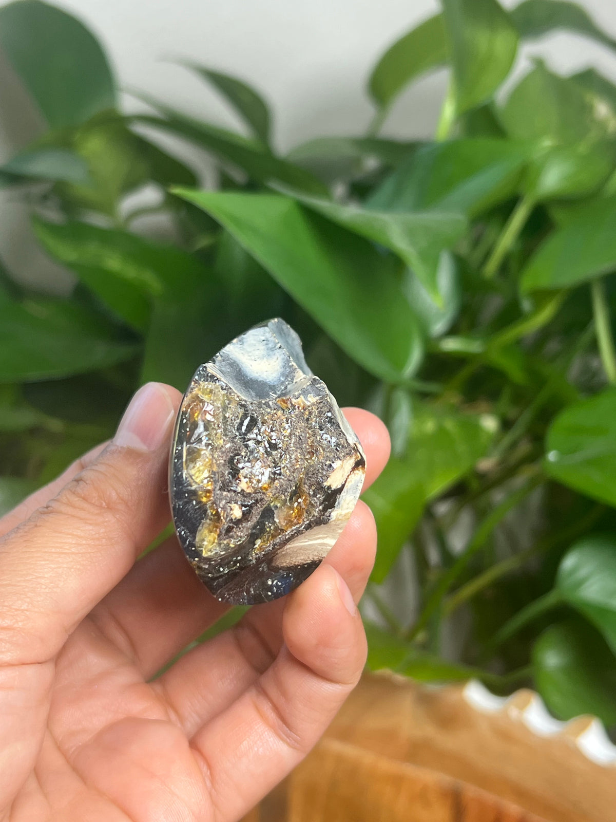 Blue Amber Freeform: SK