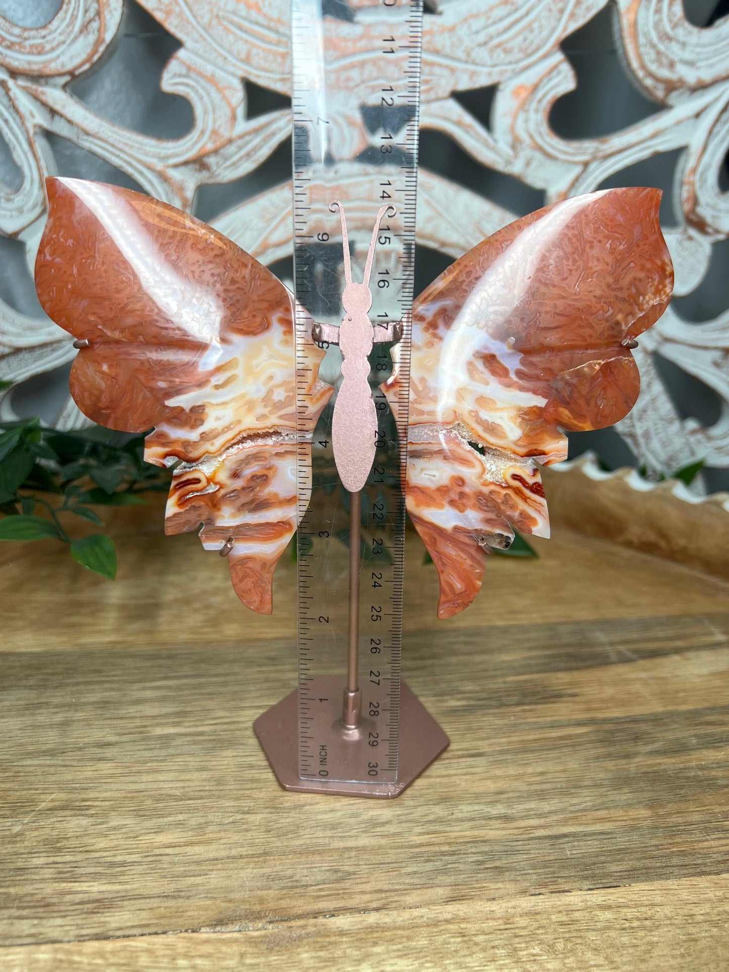 Carnelian Wings
