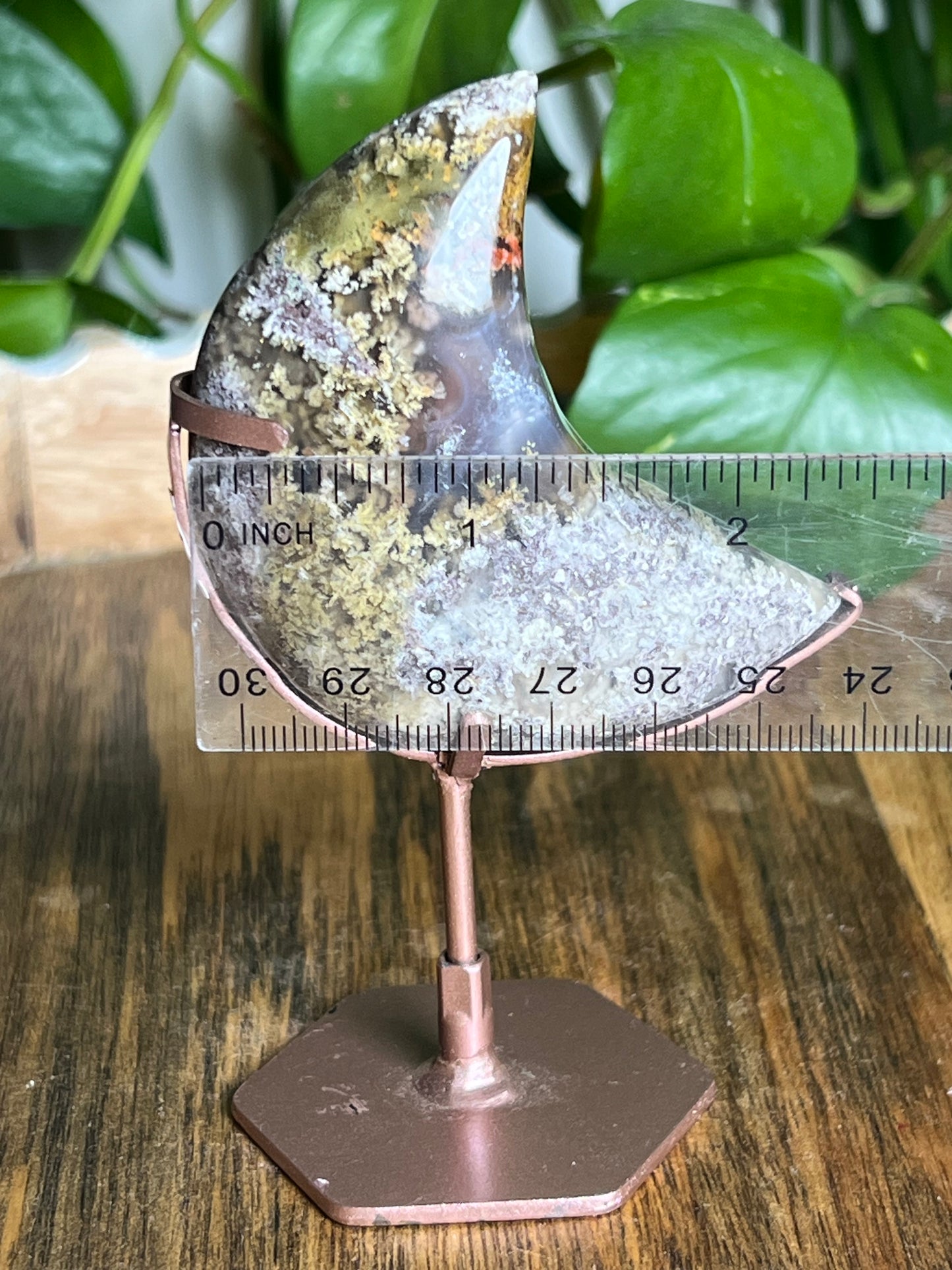 Scenic Moss Agate Moon