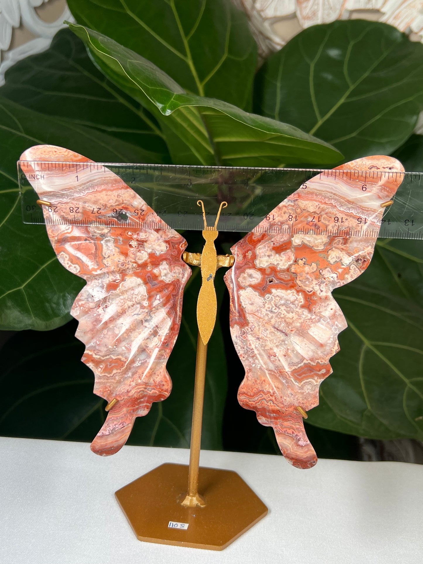 Crazy Lace Agate Wings