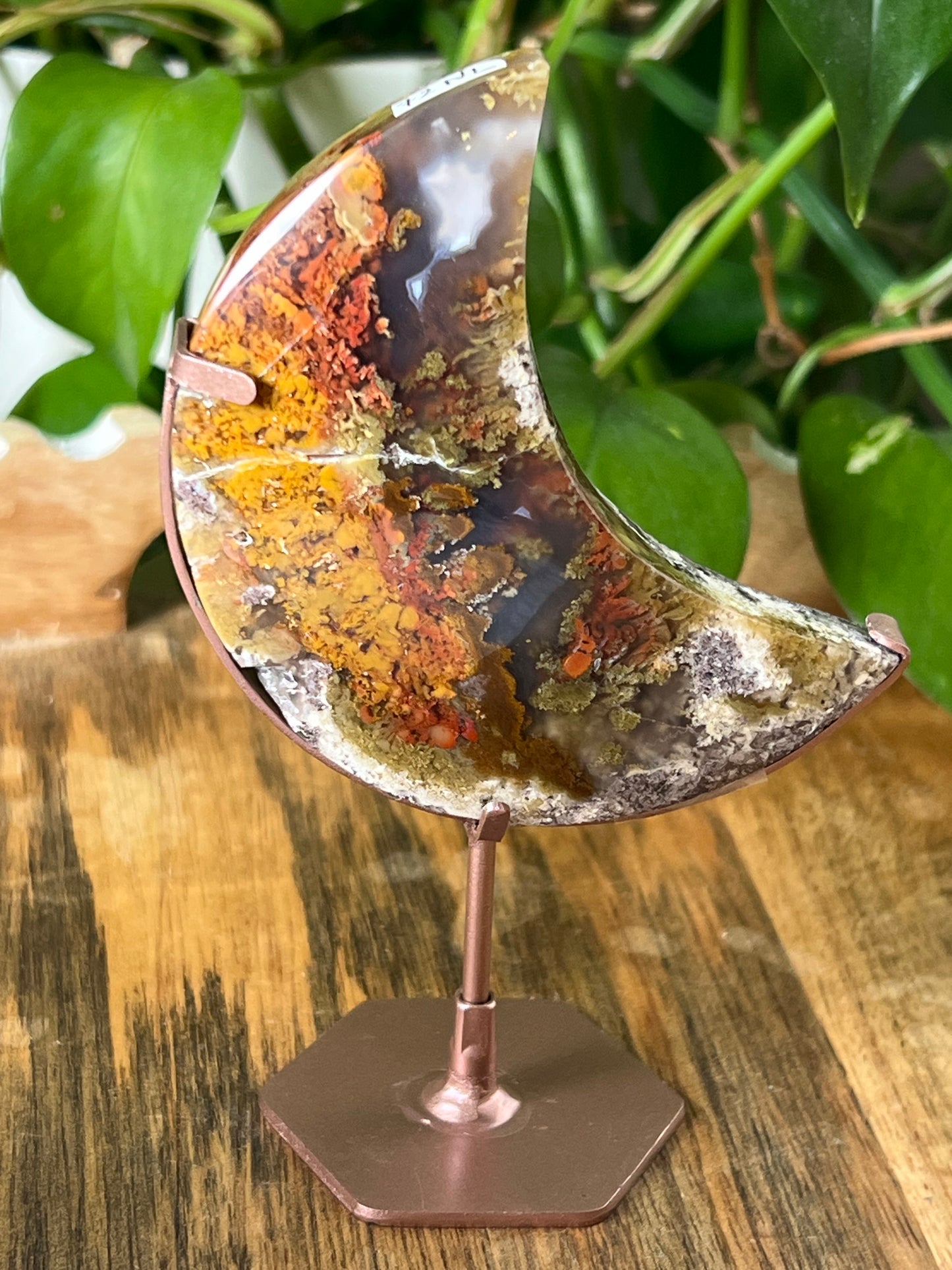 Scenic Moss Agate Moon