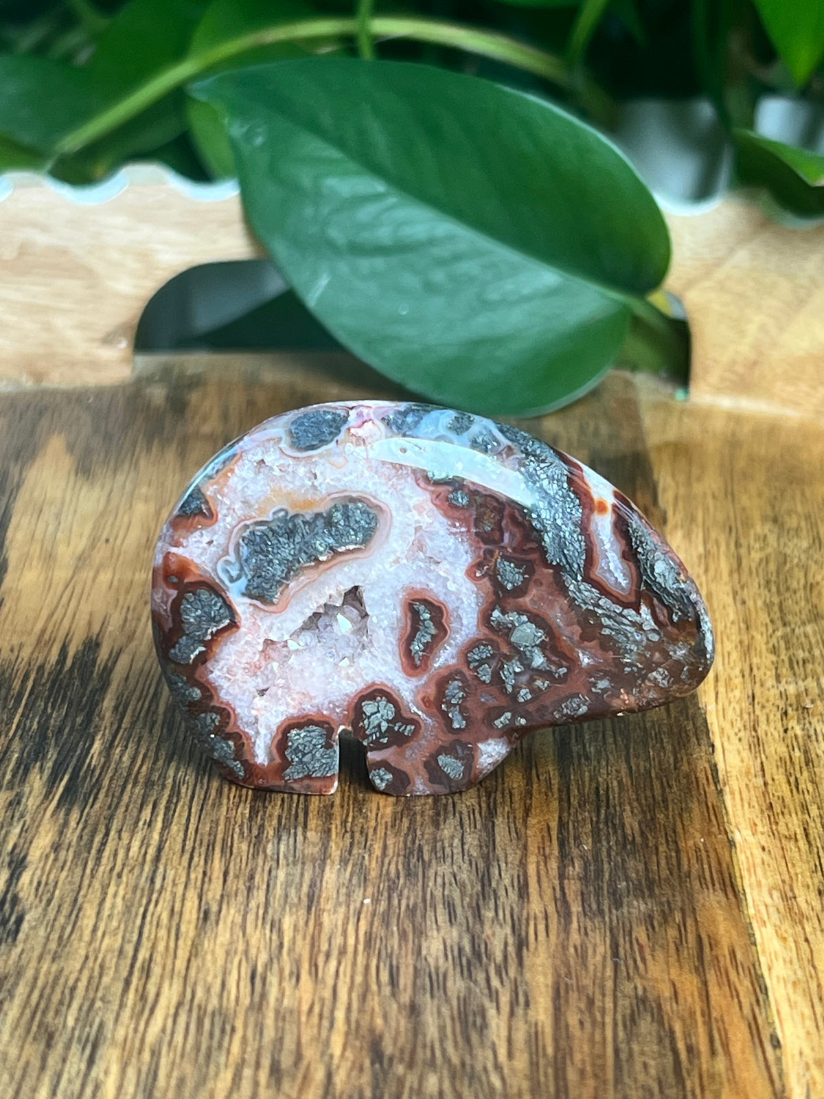 Marcasite Bear: BB