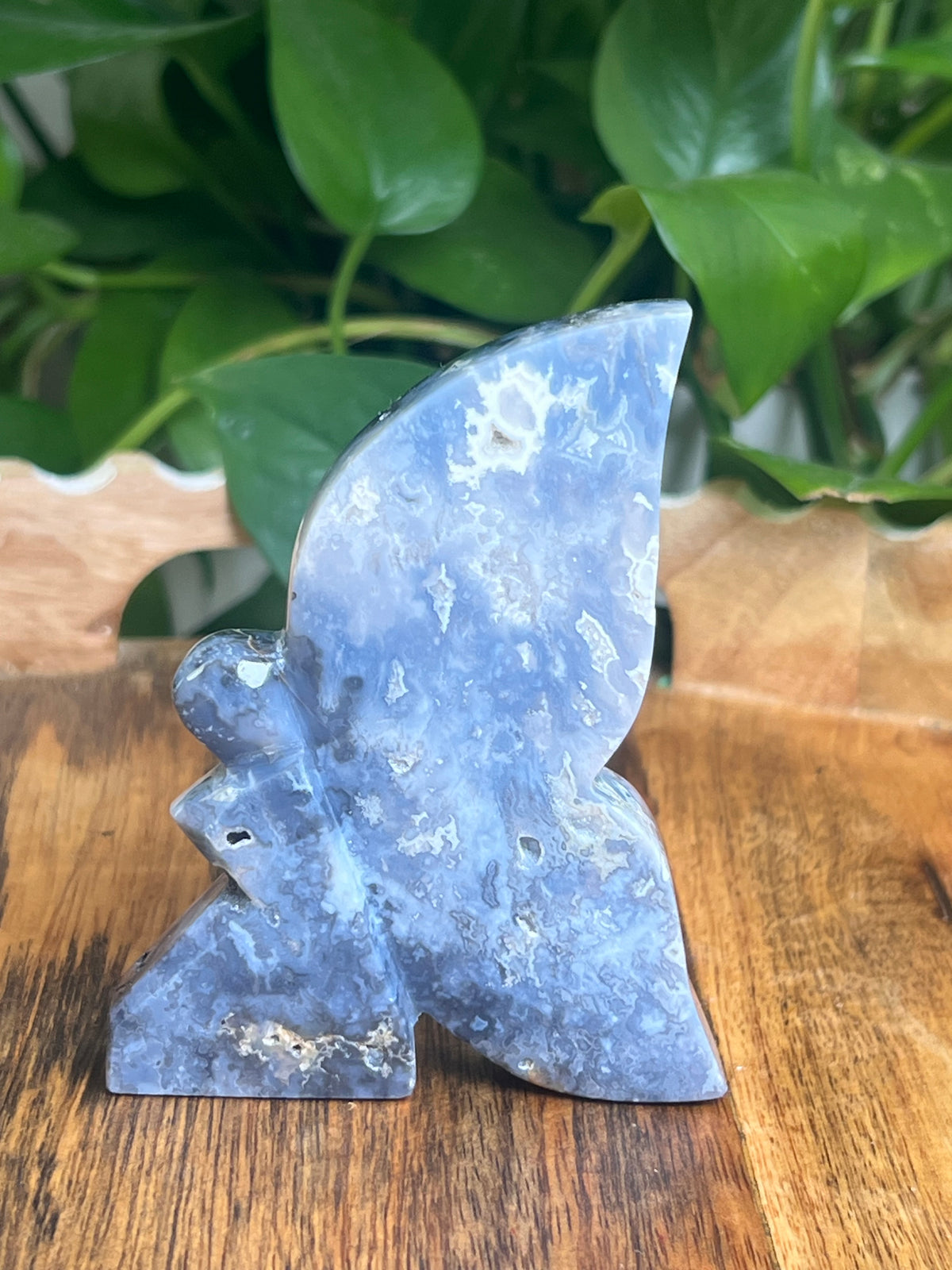Blue Plume Agate Fairy: KK