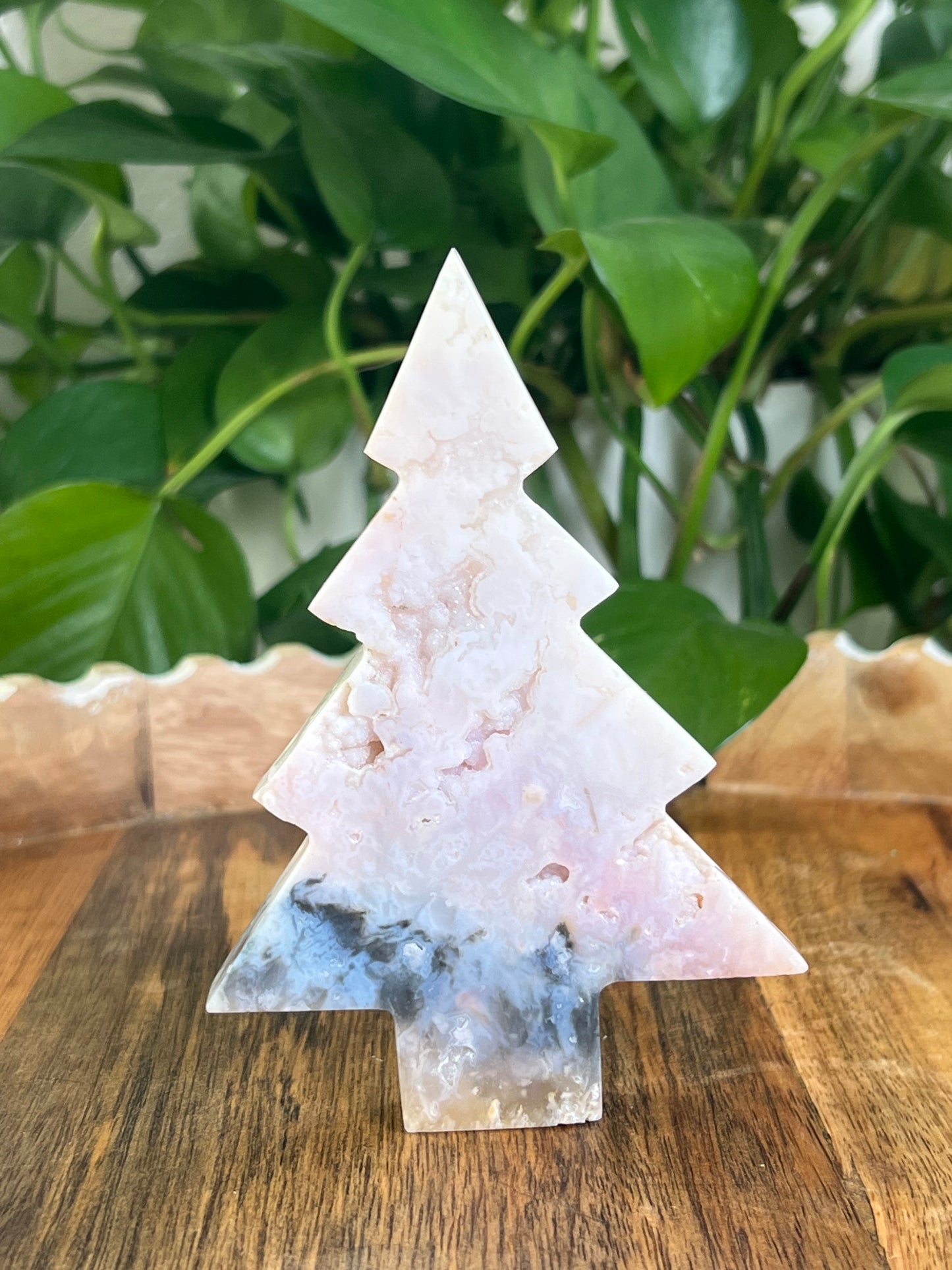 Rainbow Plume Agate Tree: DB