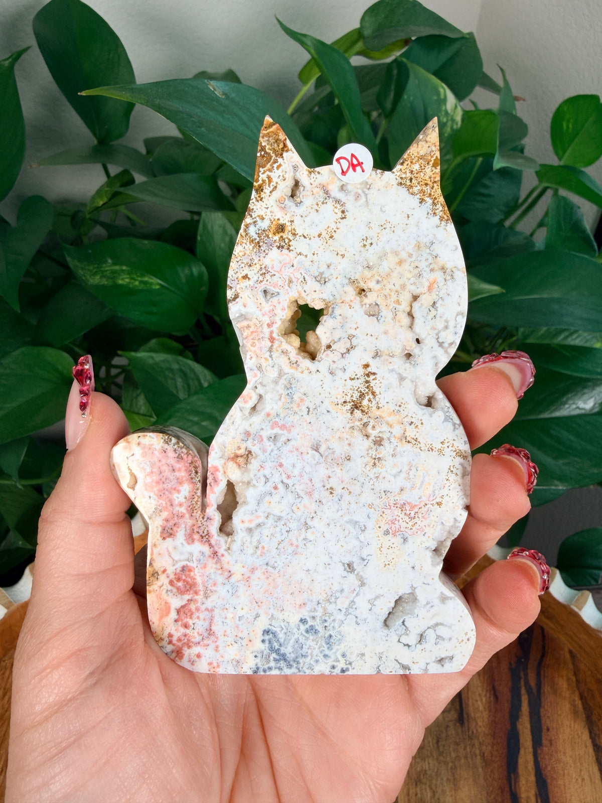Sea Jasper Cats- Large